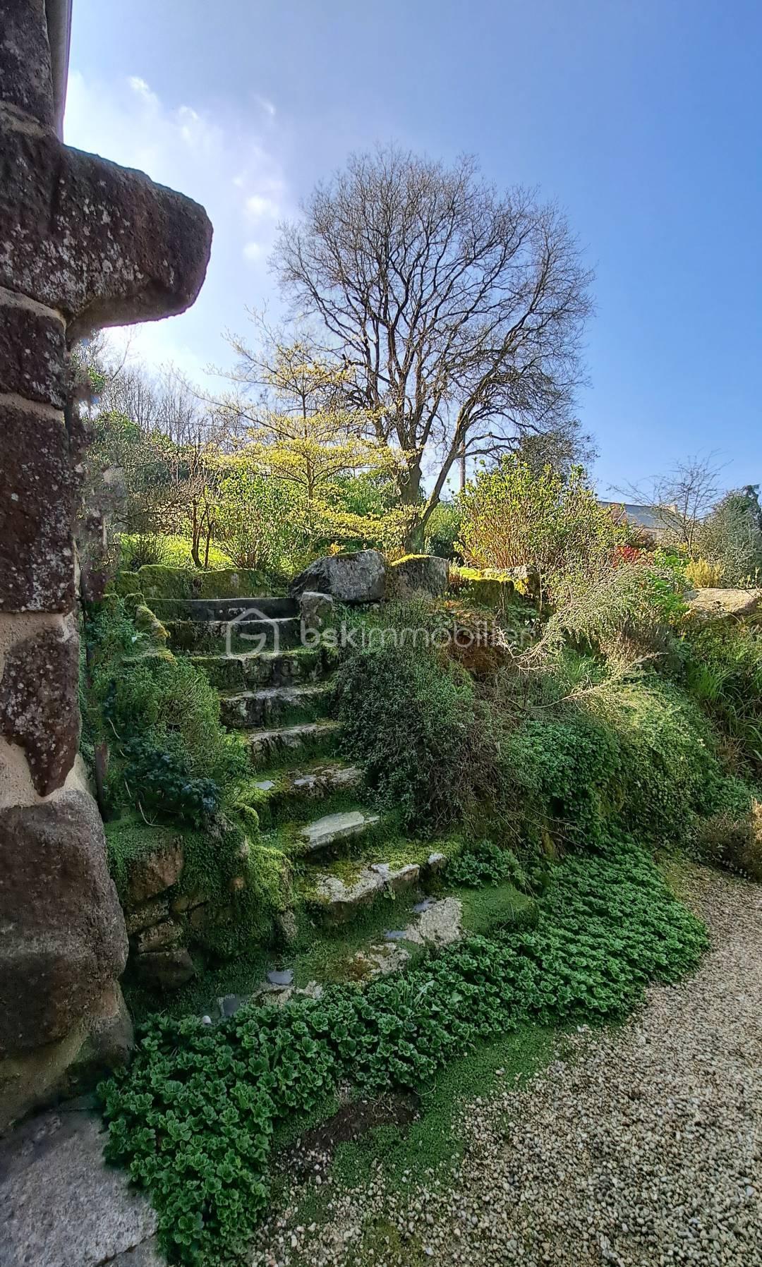 montée terrasse.jpg