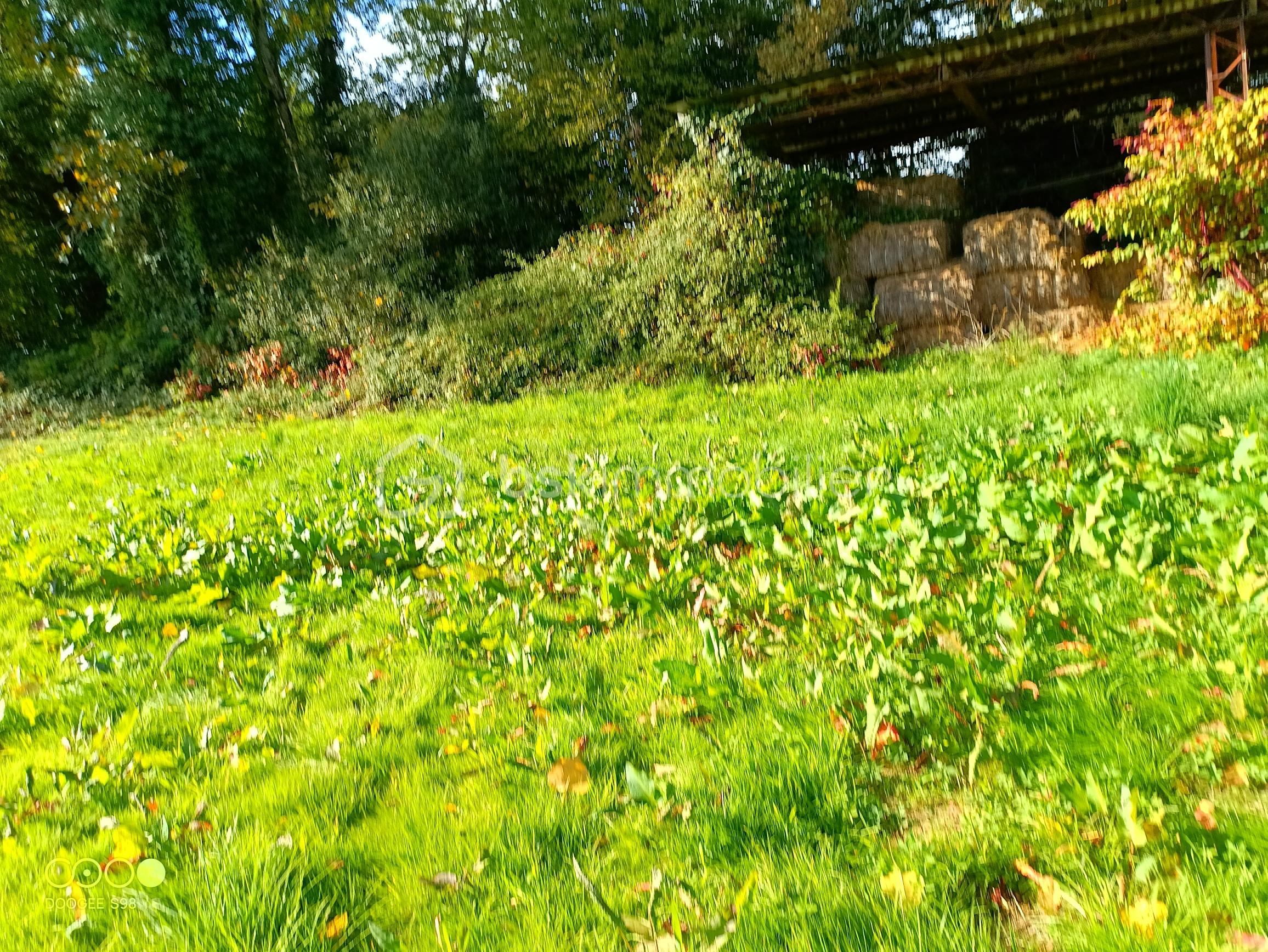 Terrain agricole de 150 960 m² - 20251021 PHOTO HANGAR 2.jpg