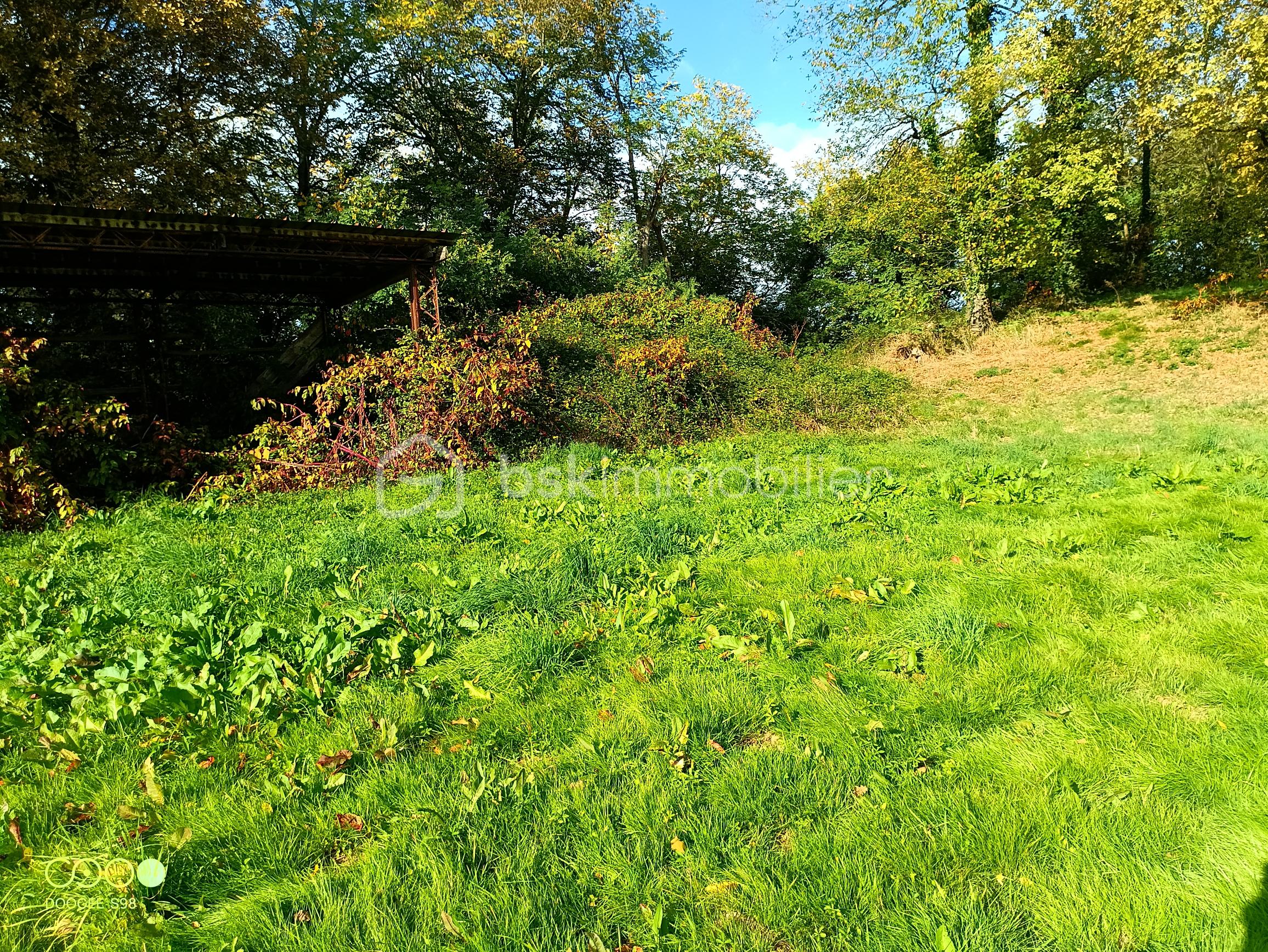 Terrain agricole de 150 960 m² - 20251021 PHOTO HANGAR 1.jpg