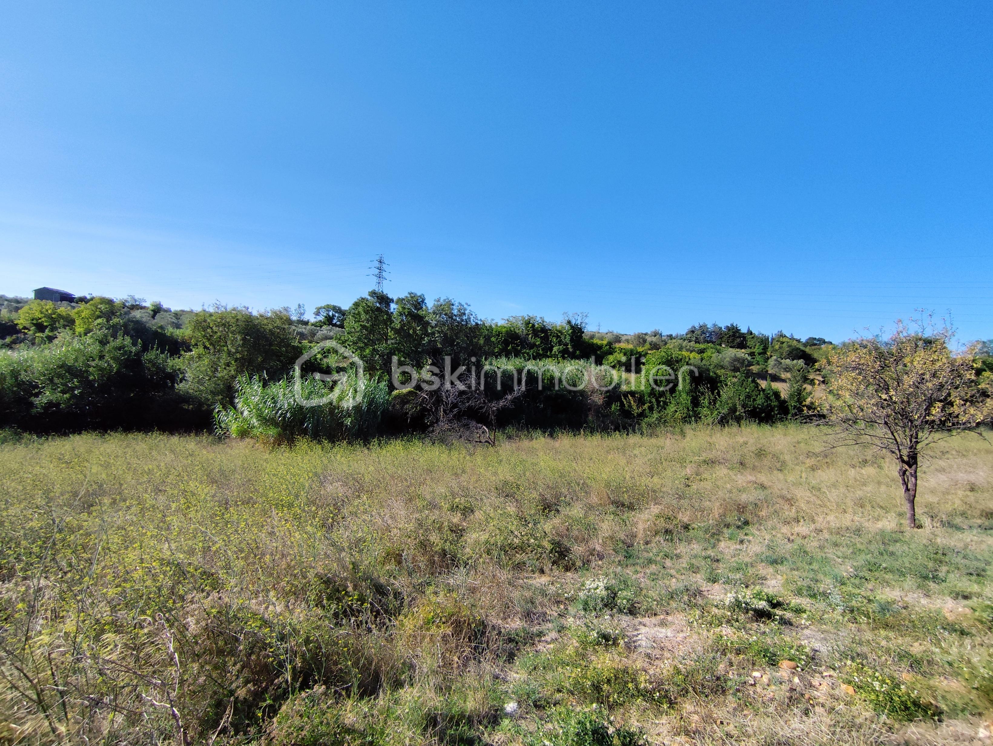 Terrain agricole de 4 201 m² - 1757065570672.jpg