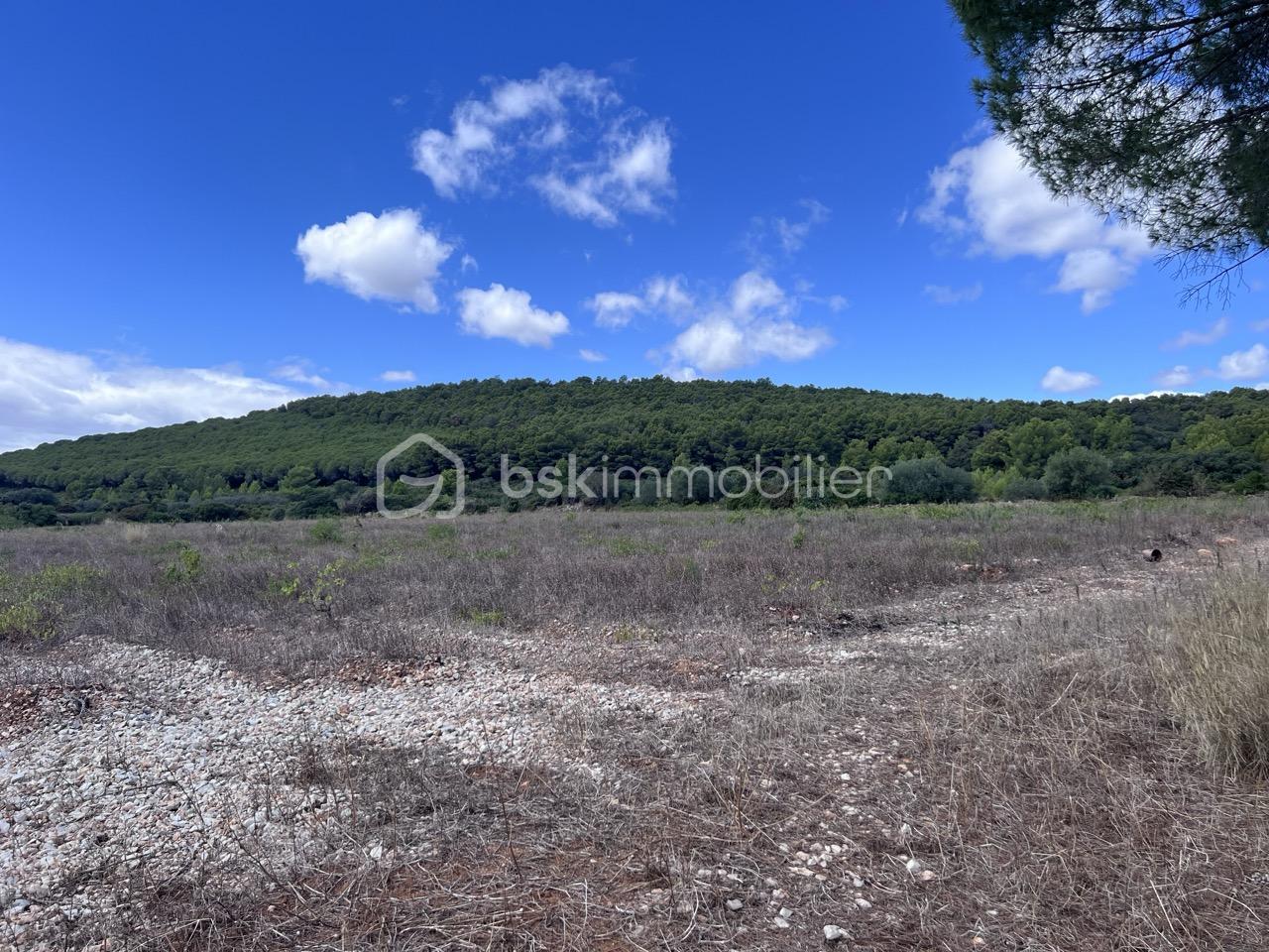 Terrain de 161 250 m² - terrain 1.jpeg