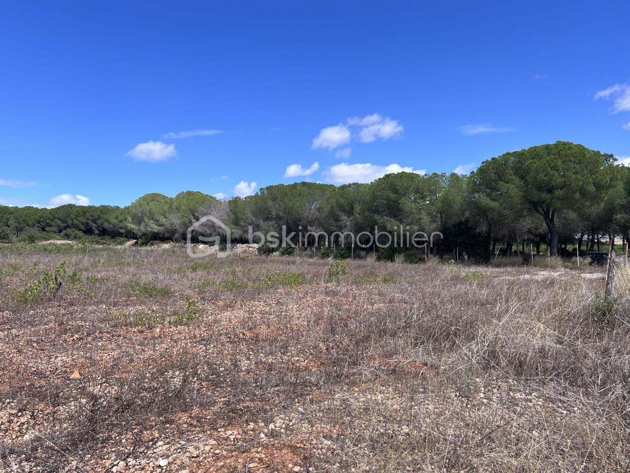 Terrain de 161 250 m² - terrain 2.jpeg