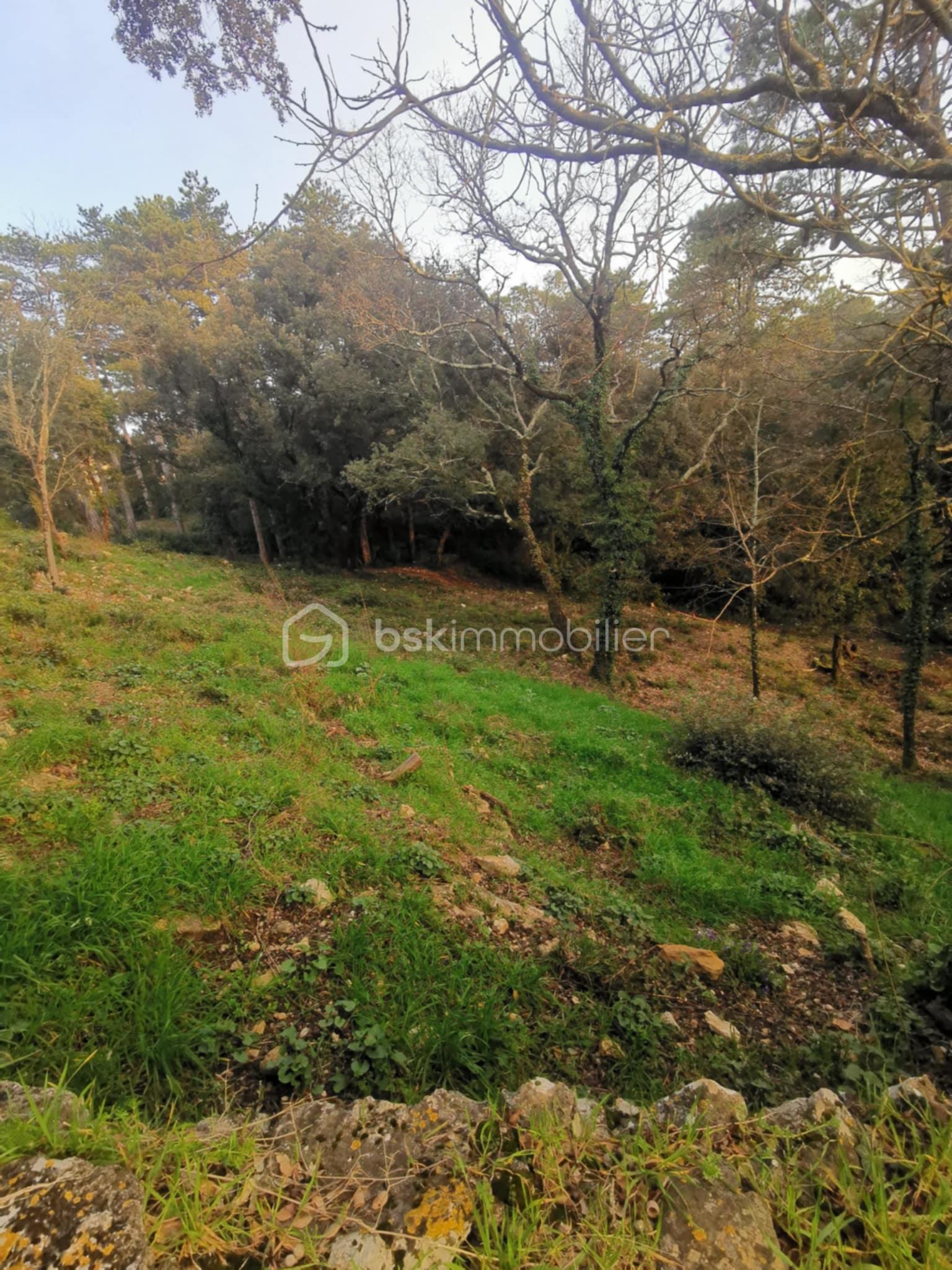 Maison ancienne de 120 m² - 7d4ed7b4-3ded-4912-a985-c9217e734fe3.jpeg