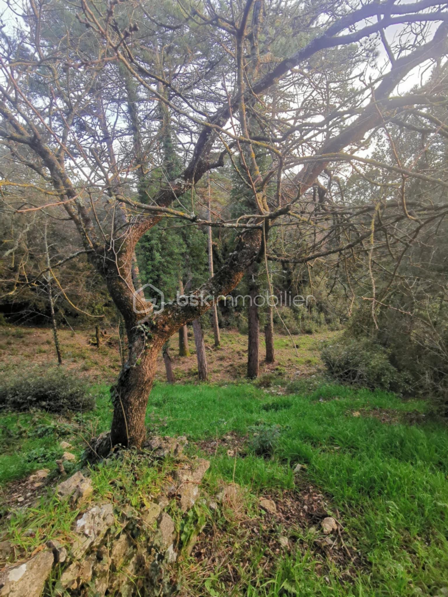 Maison ancienne de 120 m² - 4903bea8-474a-4cfb-959c-f04897040a7f.jpeg