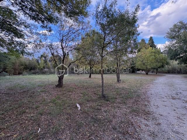 Terrain de 3 325 m² - PHOTO TERRAIN MARIE ENTREE.jpg