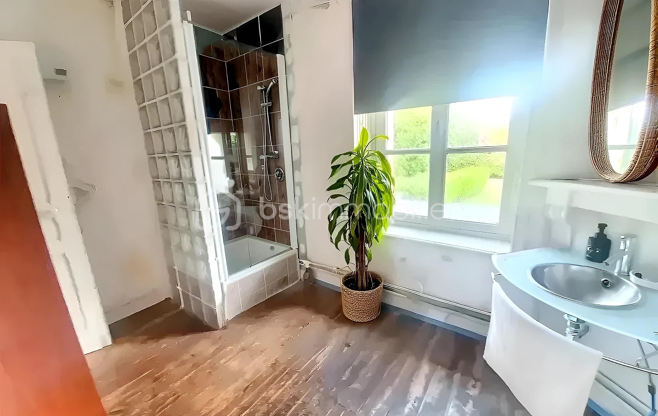 Maison de village de 124,50 m² - SOUCHEZ IG SDE v douche avec miroir (1).jpg