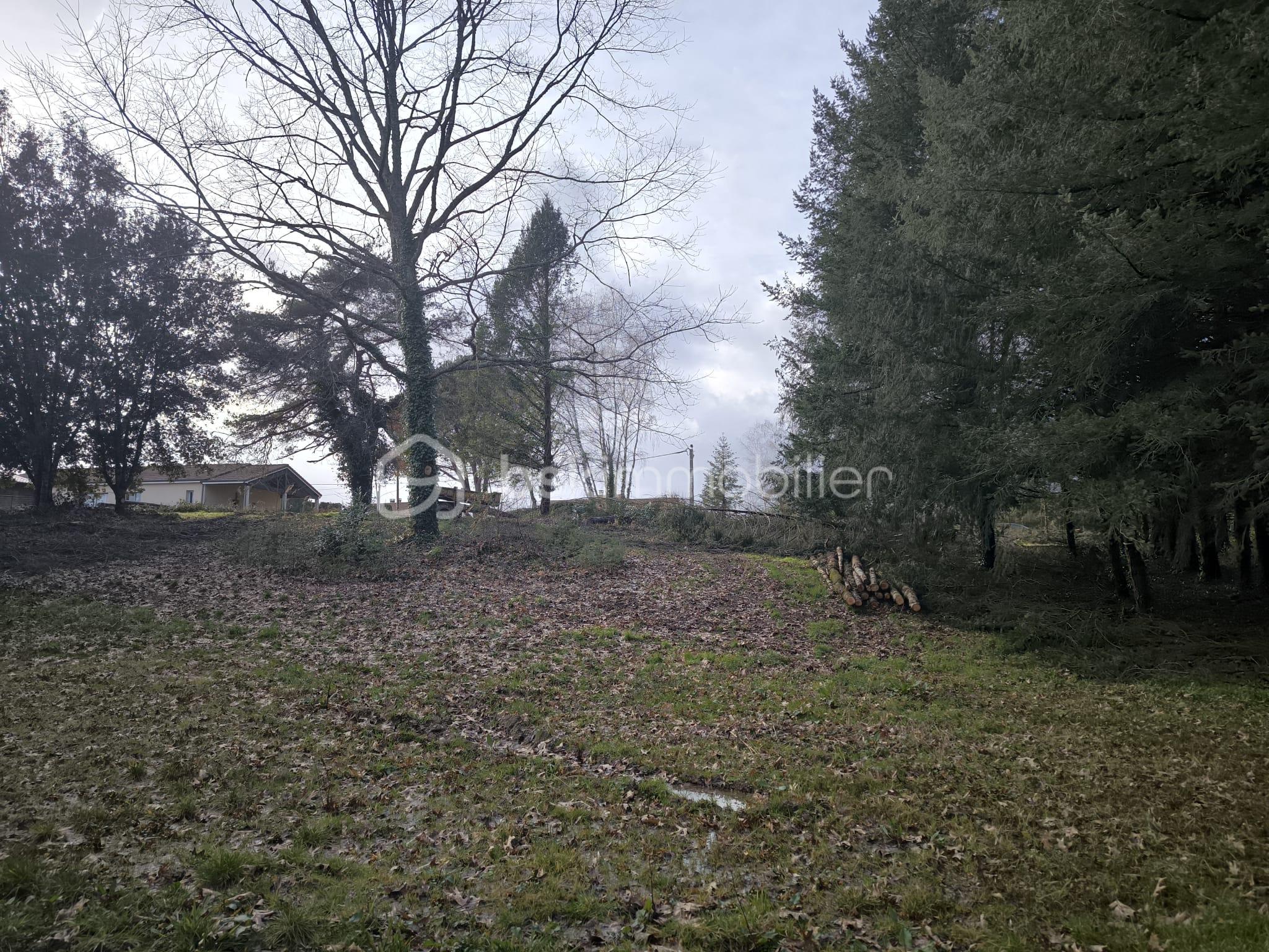 WhatsApp Image 2026-02-19 at 12.01.27.jpeg