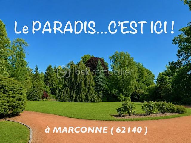 fillion jardin paradis.jpeg