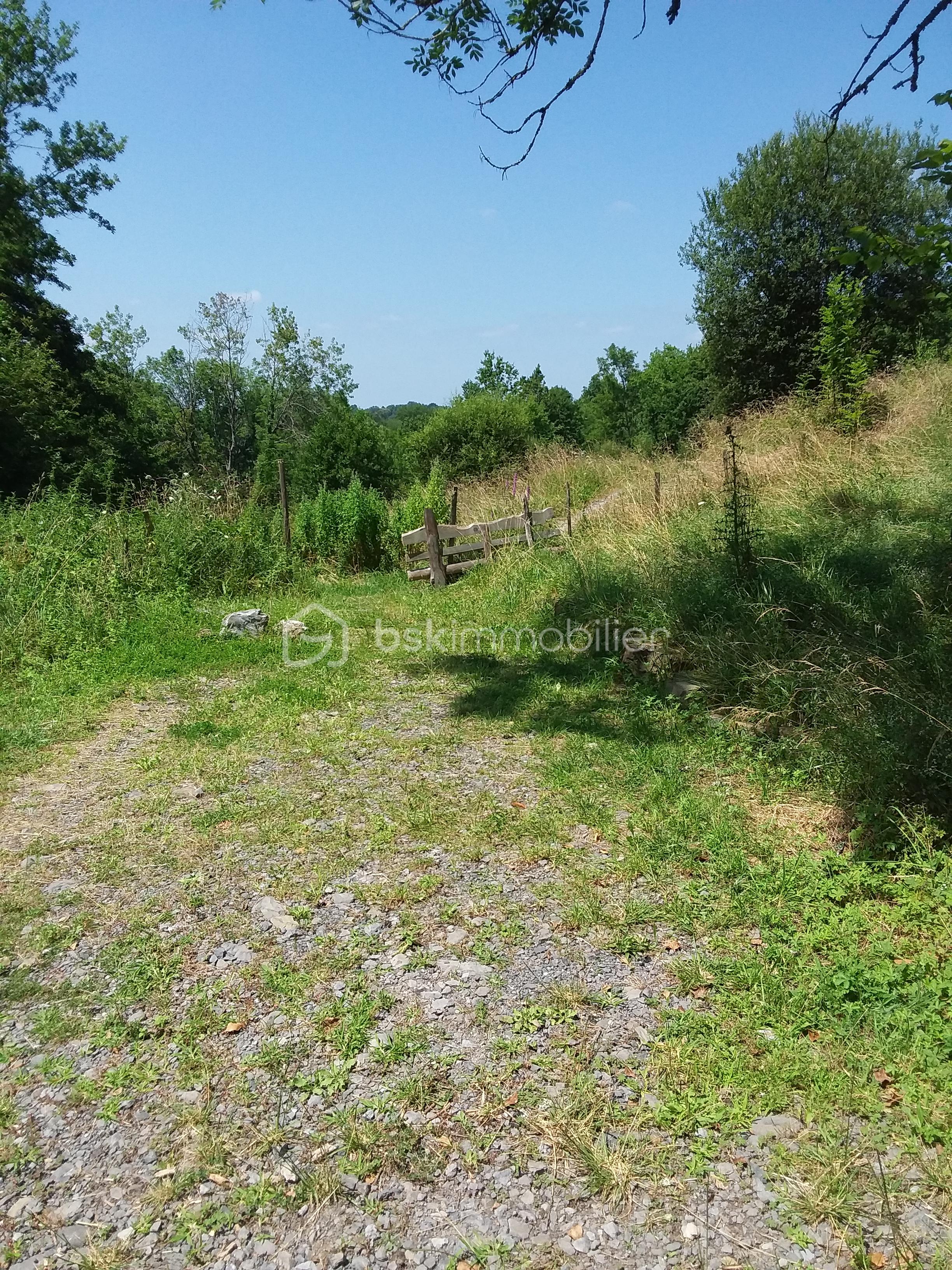 Terrain de 3 117 m² - 20230710_151912.jpg