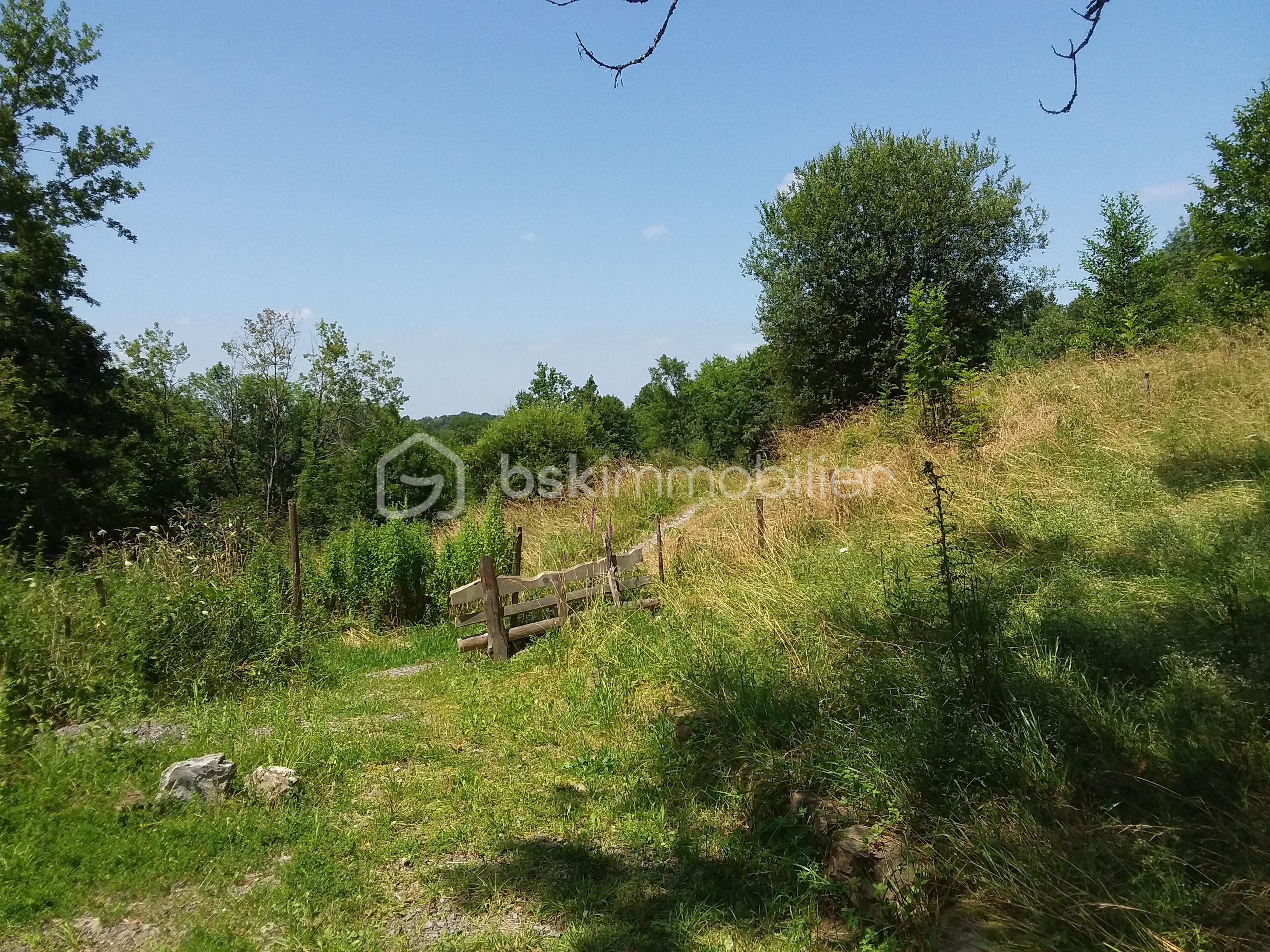 Terrain de 3 117 m² - 20230710_151924.jpg