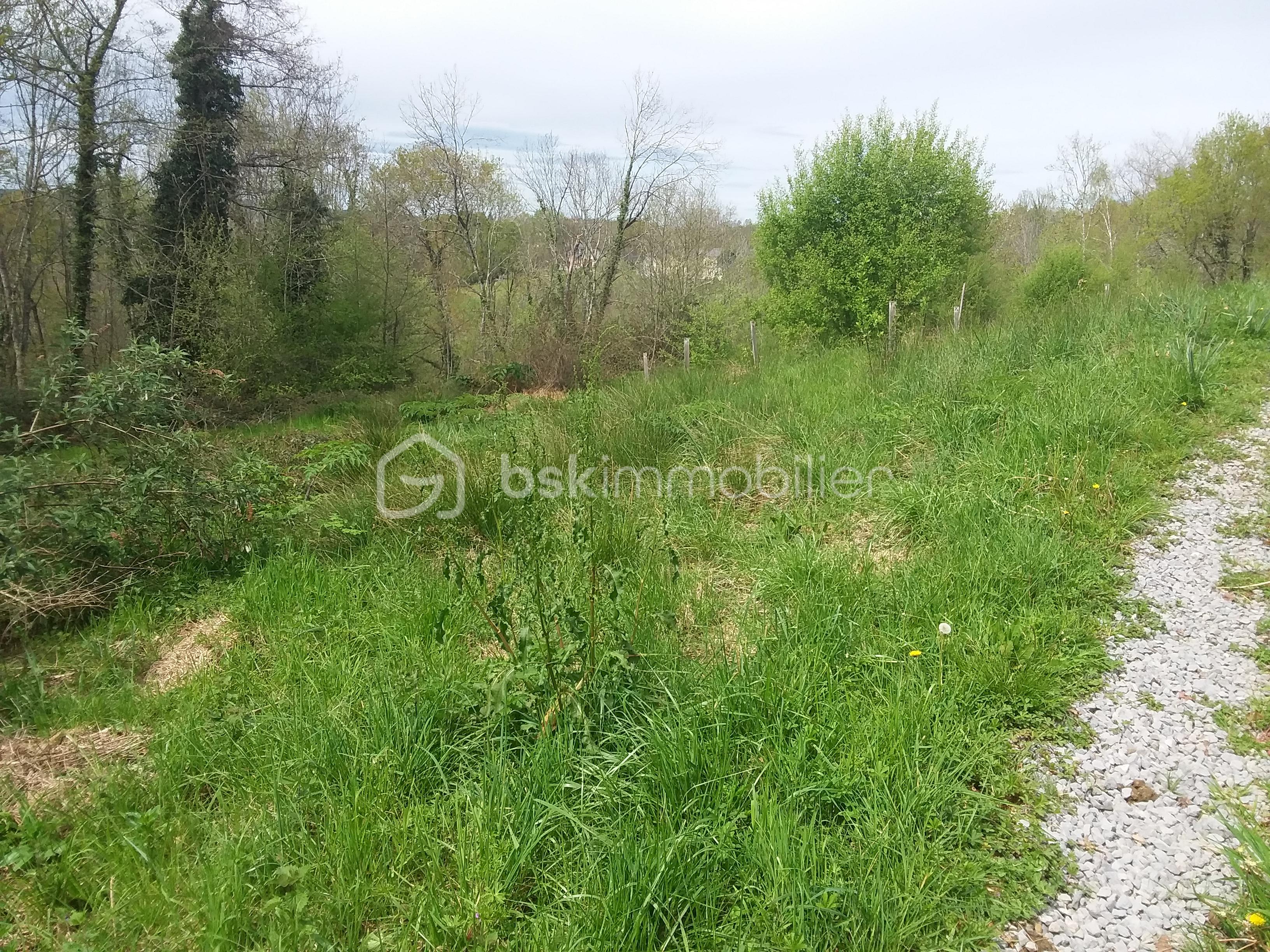 Terrain de 3 117 m² - DIFF4.jpg