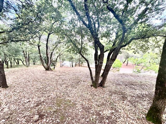 Maison d architecte de 160 m² - IMG_5326.jpg