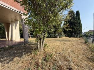 IMG_6645.jpeg