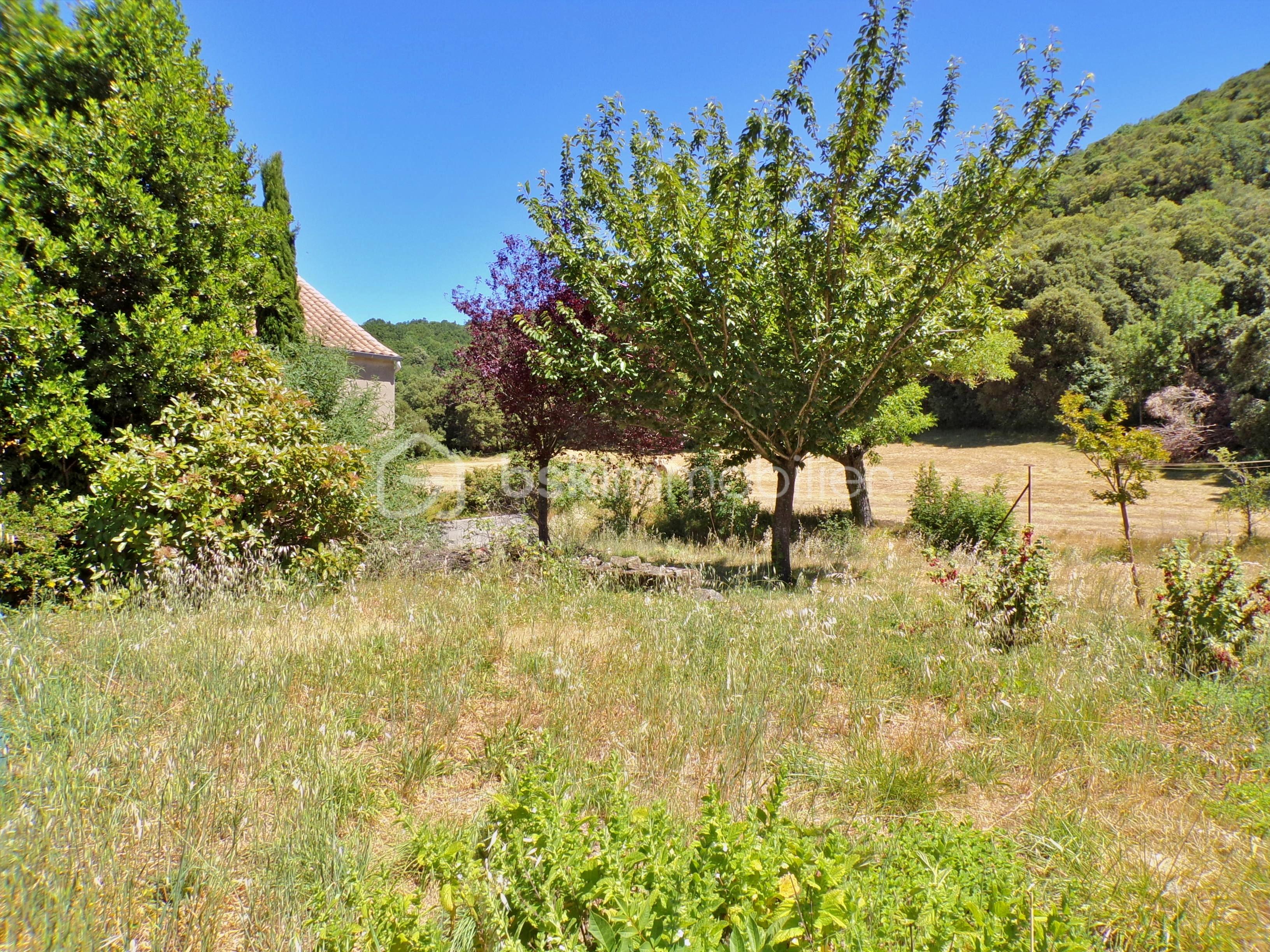 Jardin.JPG