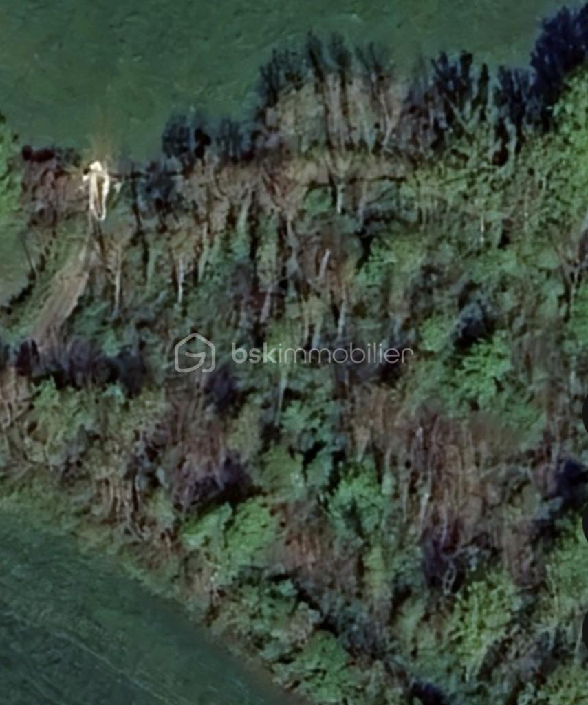 Terrain de loisirs de 33 800 m² - mesnil.jpg