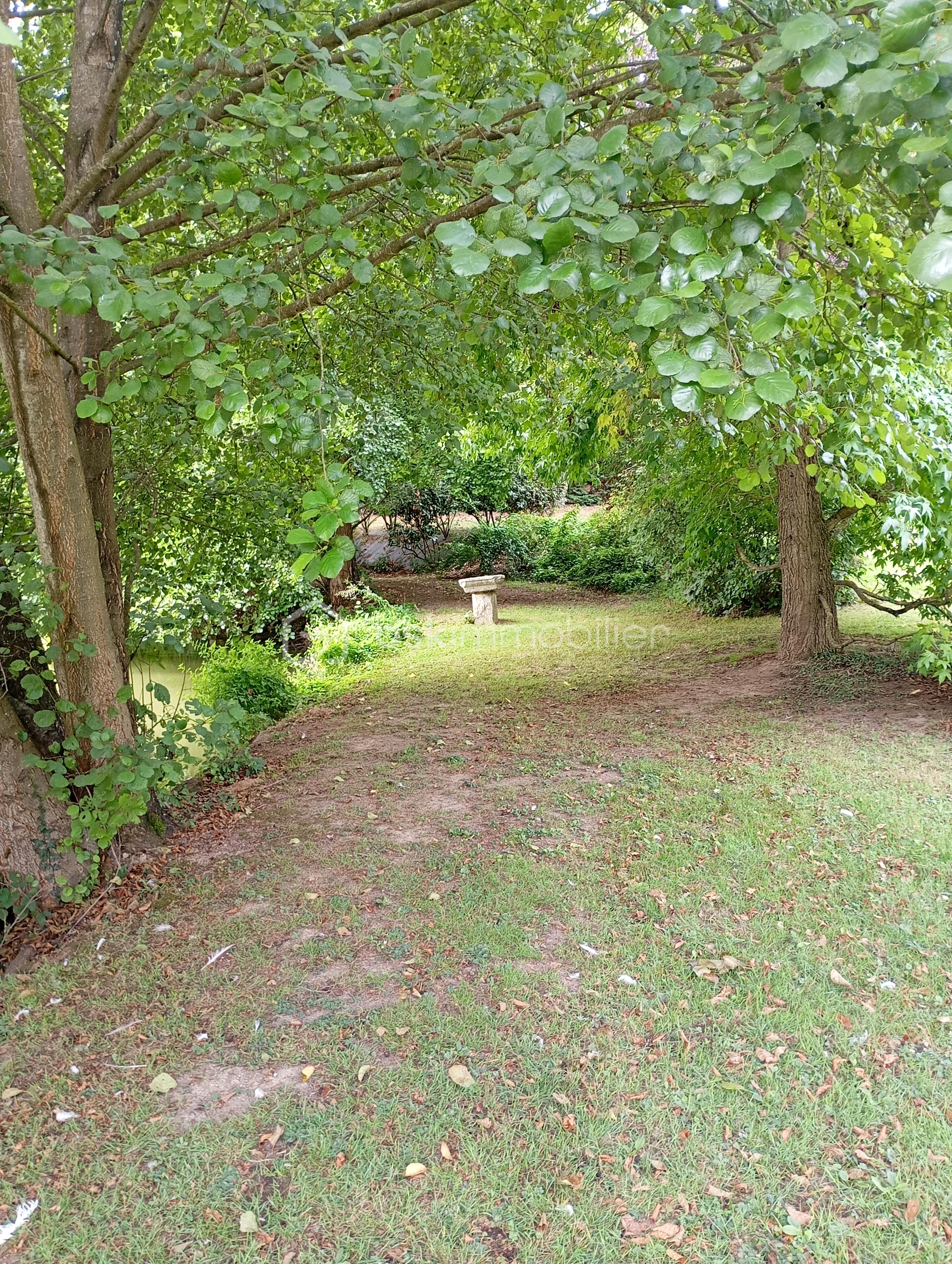 Terrain de loisirs de 18 650 m² - IMG_20250727_112939.jpg