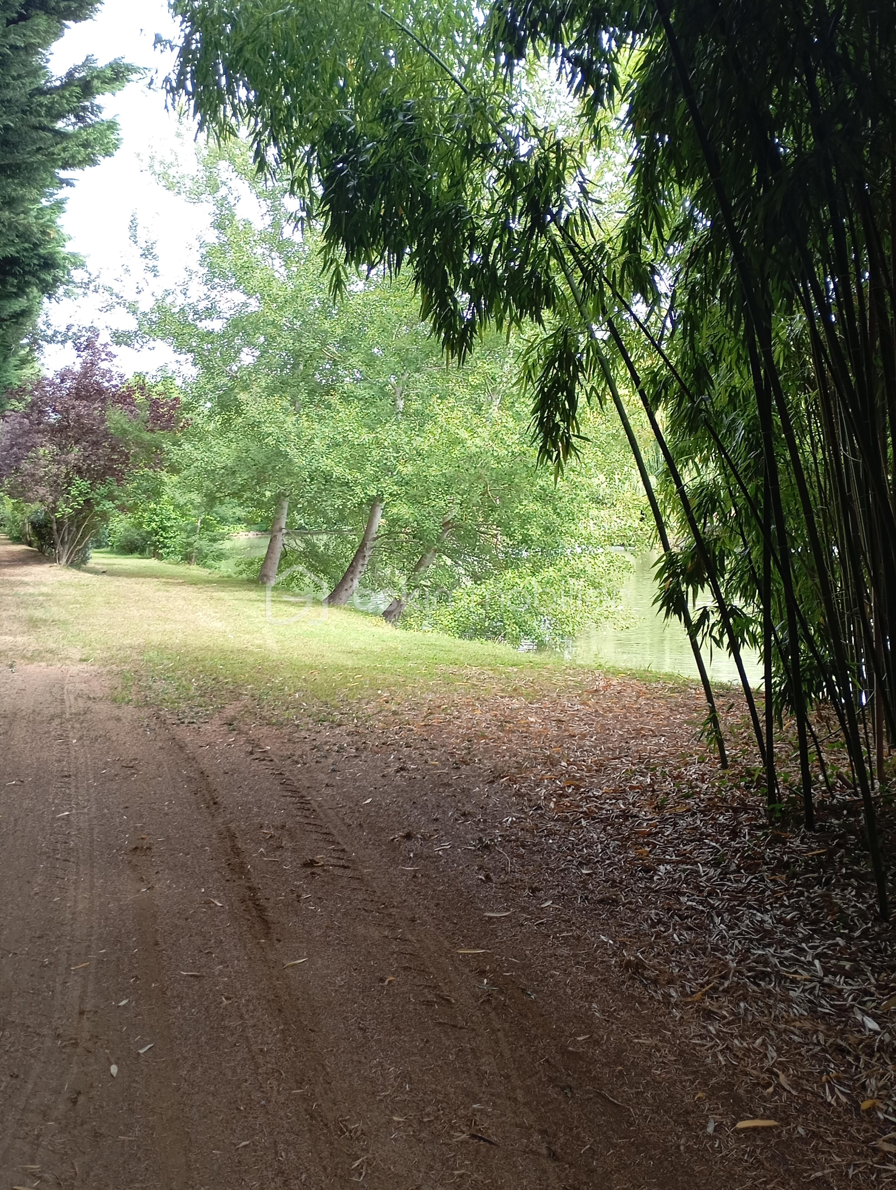 Terrain de loisirs de 18 650 m² - IMG_20250727_113805.jpg