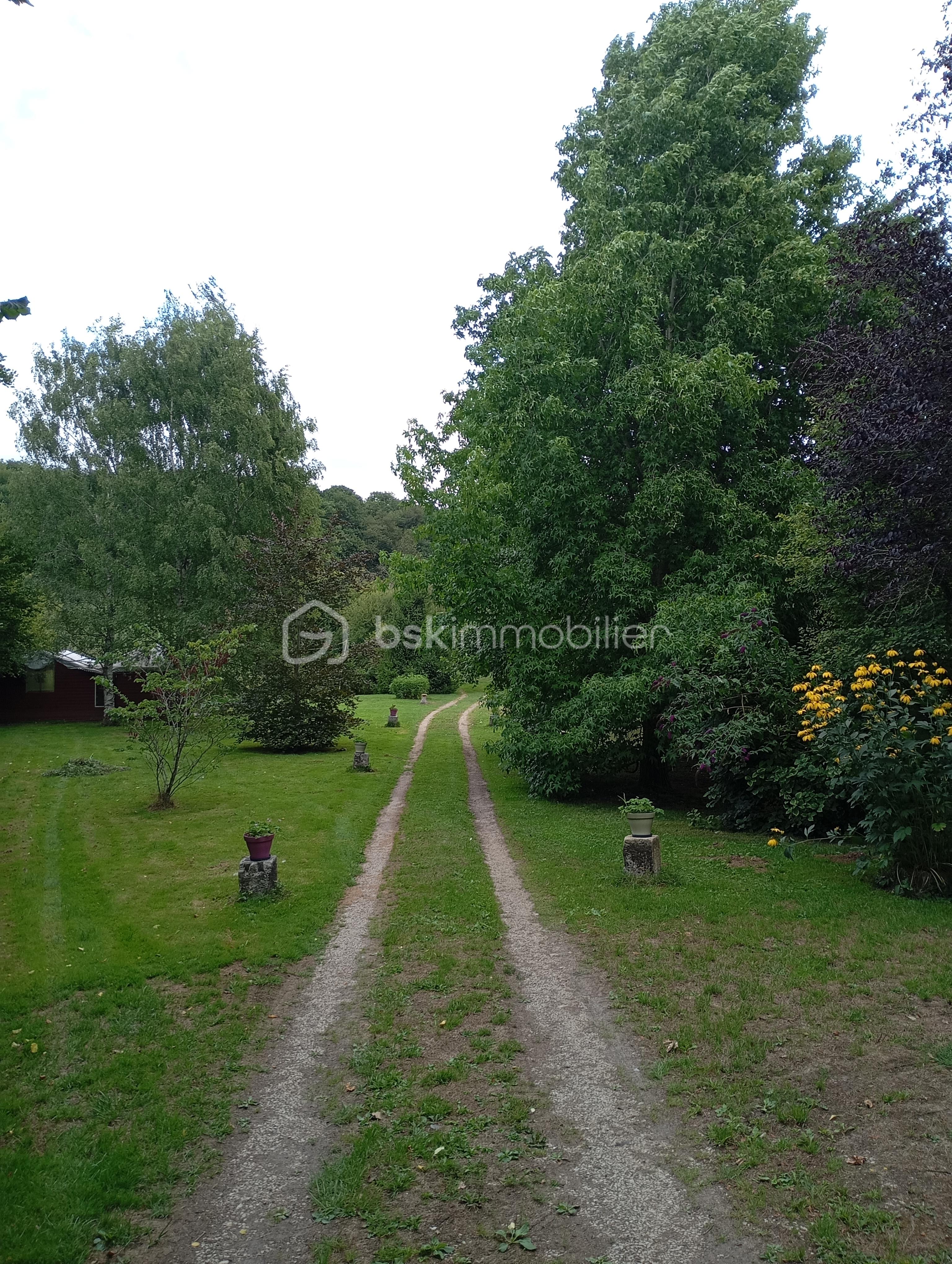 Terrain de loisirs de 18 650 m² - IMG_20250727_112859.jpg