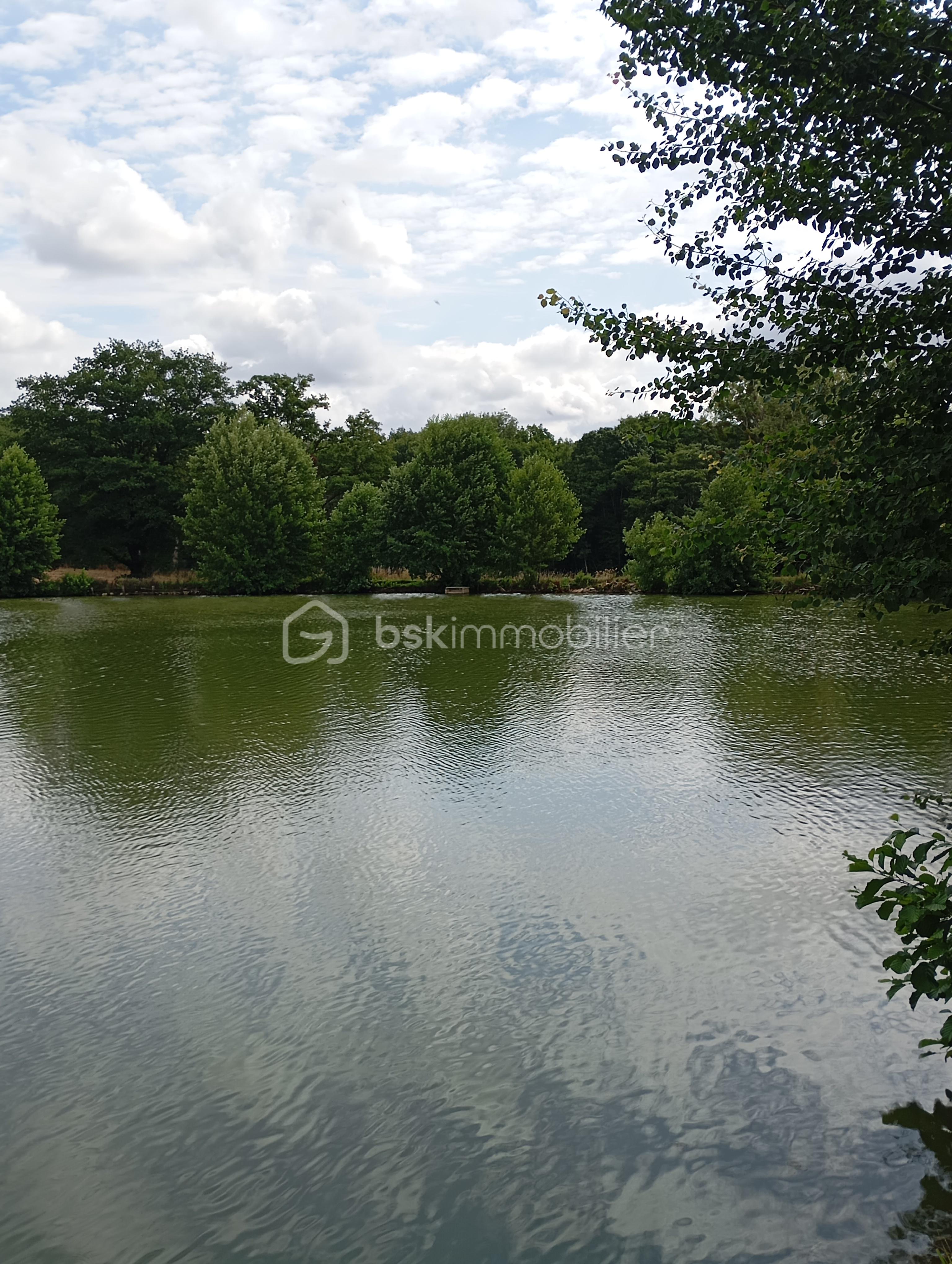 Terrain de loisirs de 18 650 m² - IMG_20250727_113915.jpg