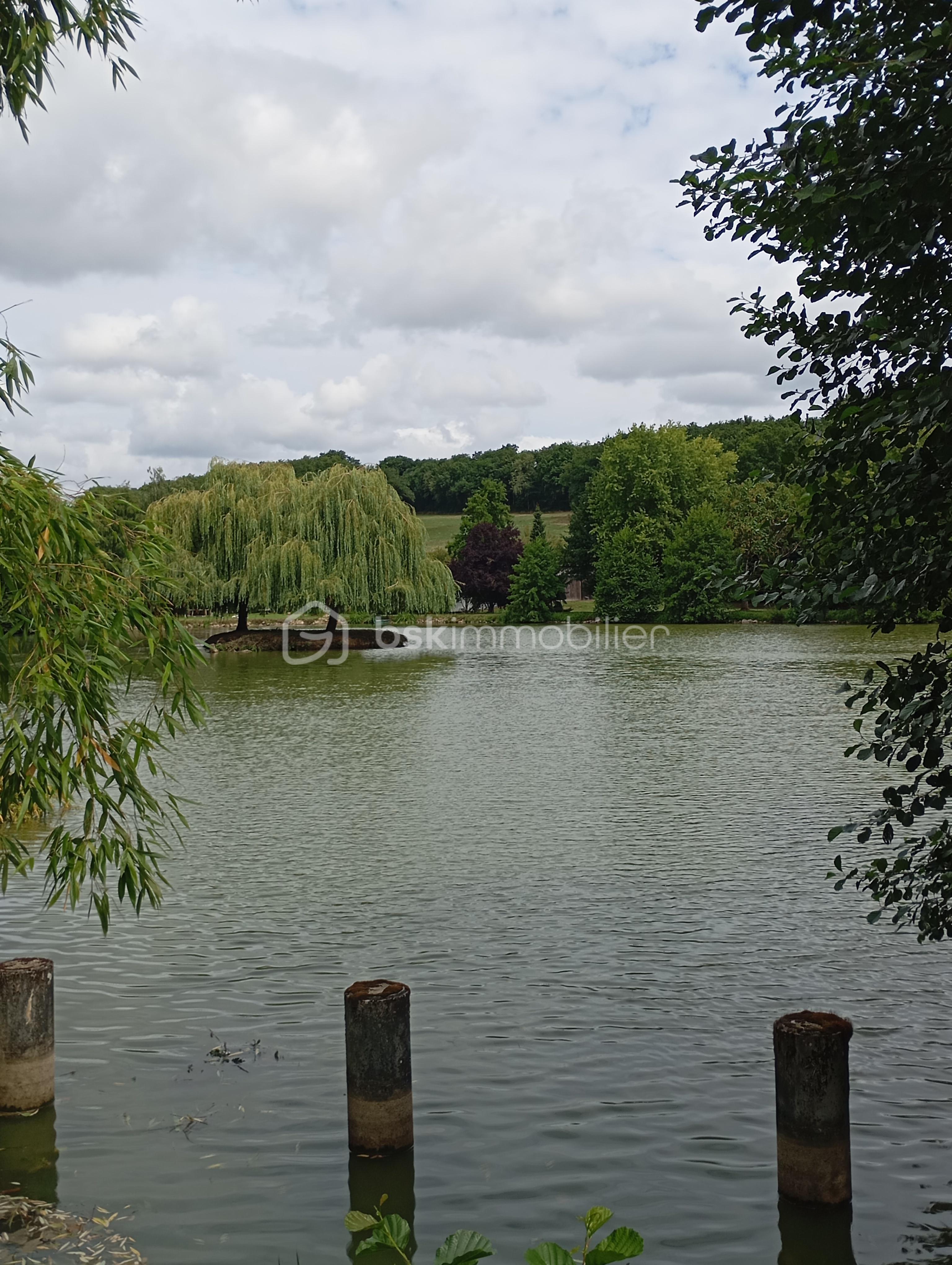 Terrain de loisirs de 18 650 m² - IMG_20250727_113744.jpg