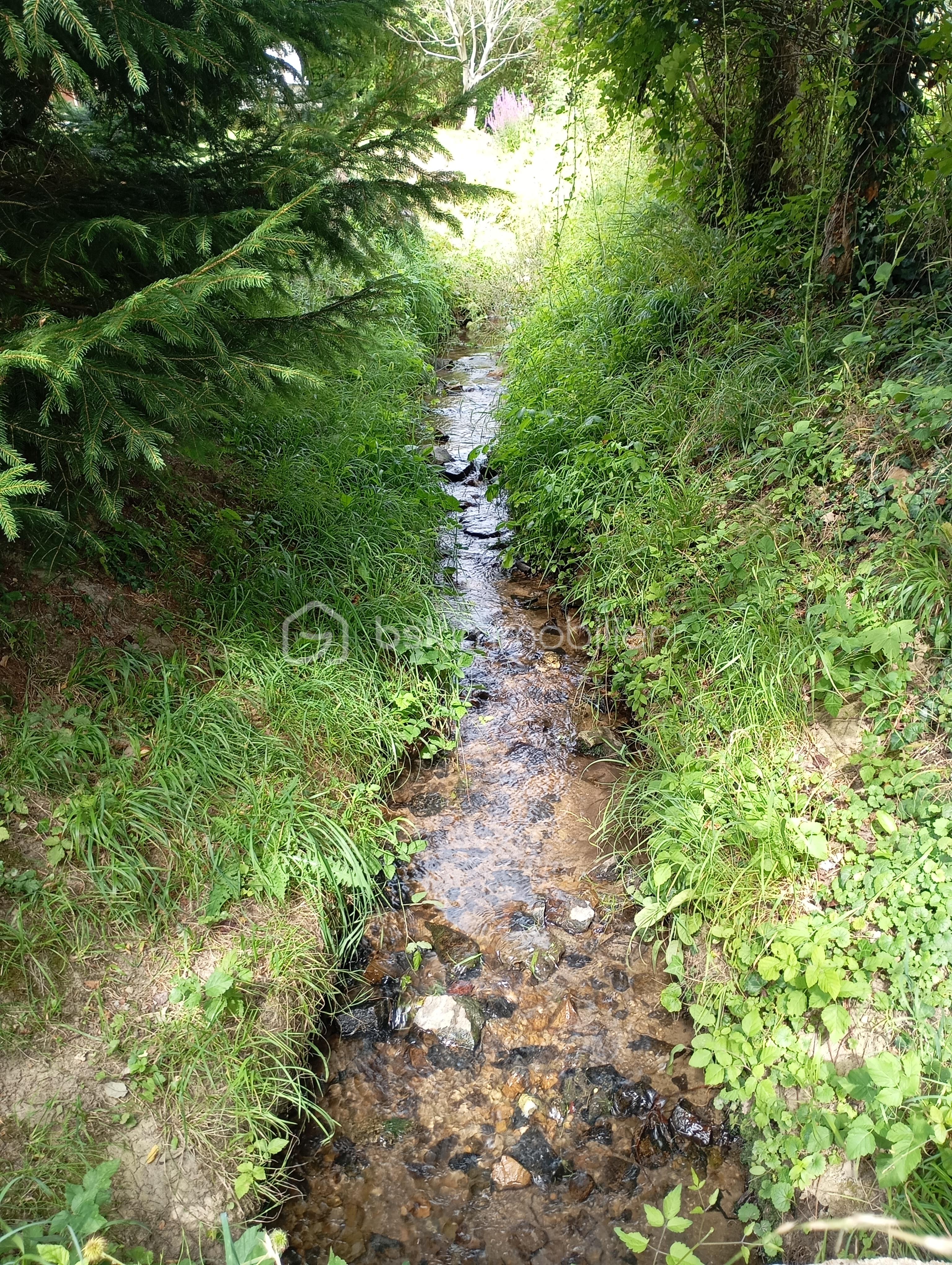 Terrain de loisirs de 18 650 m² - IMG_20250727_113134.jpg