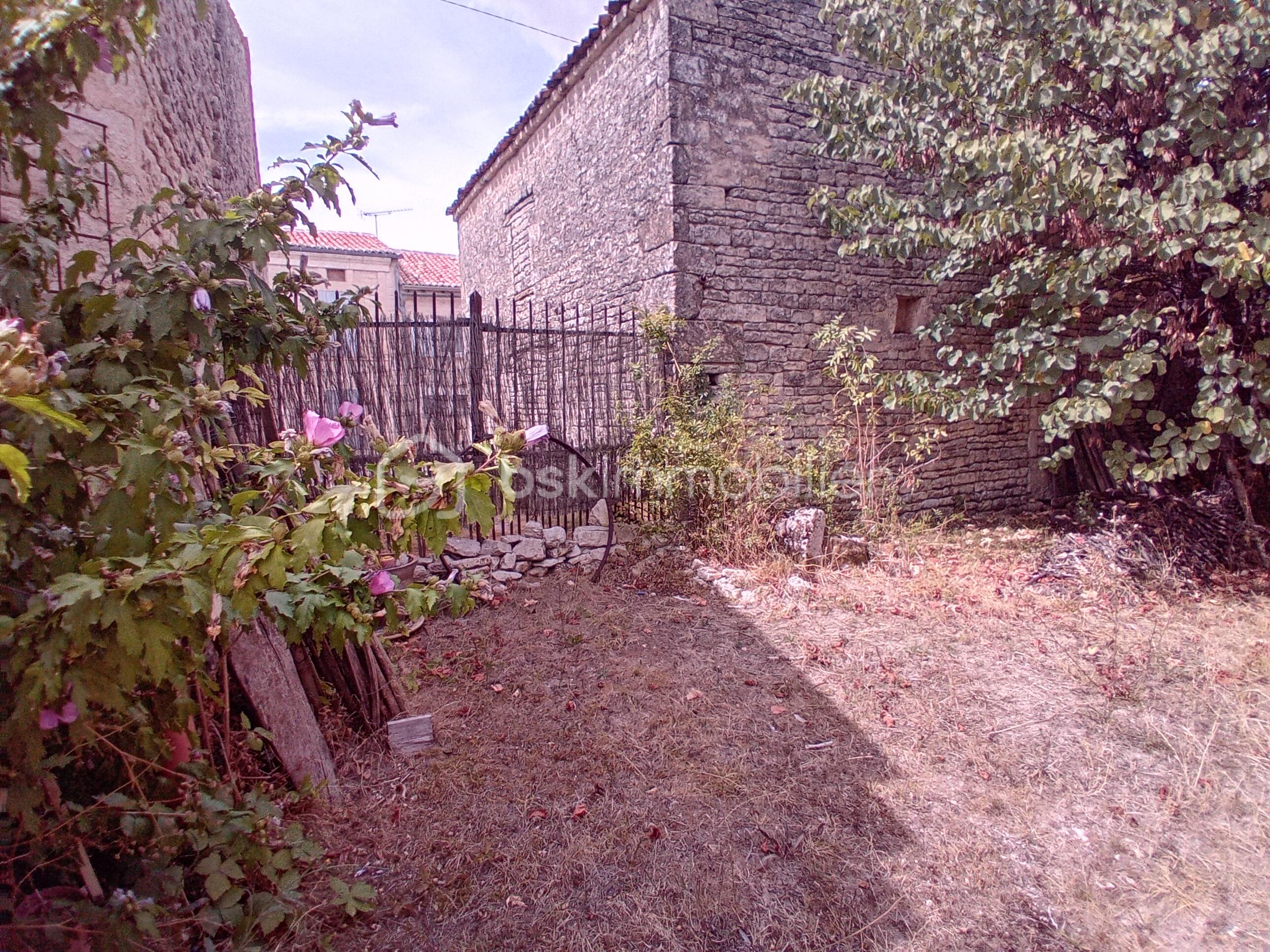 20260820_151338.jpg