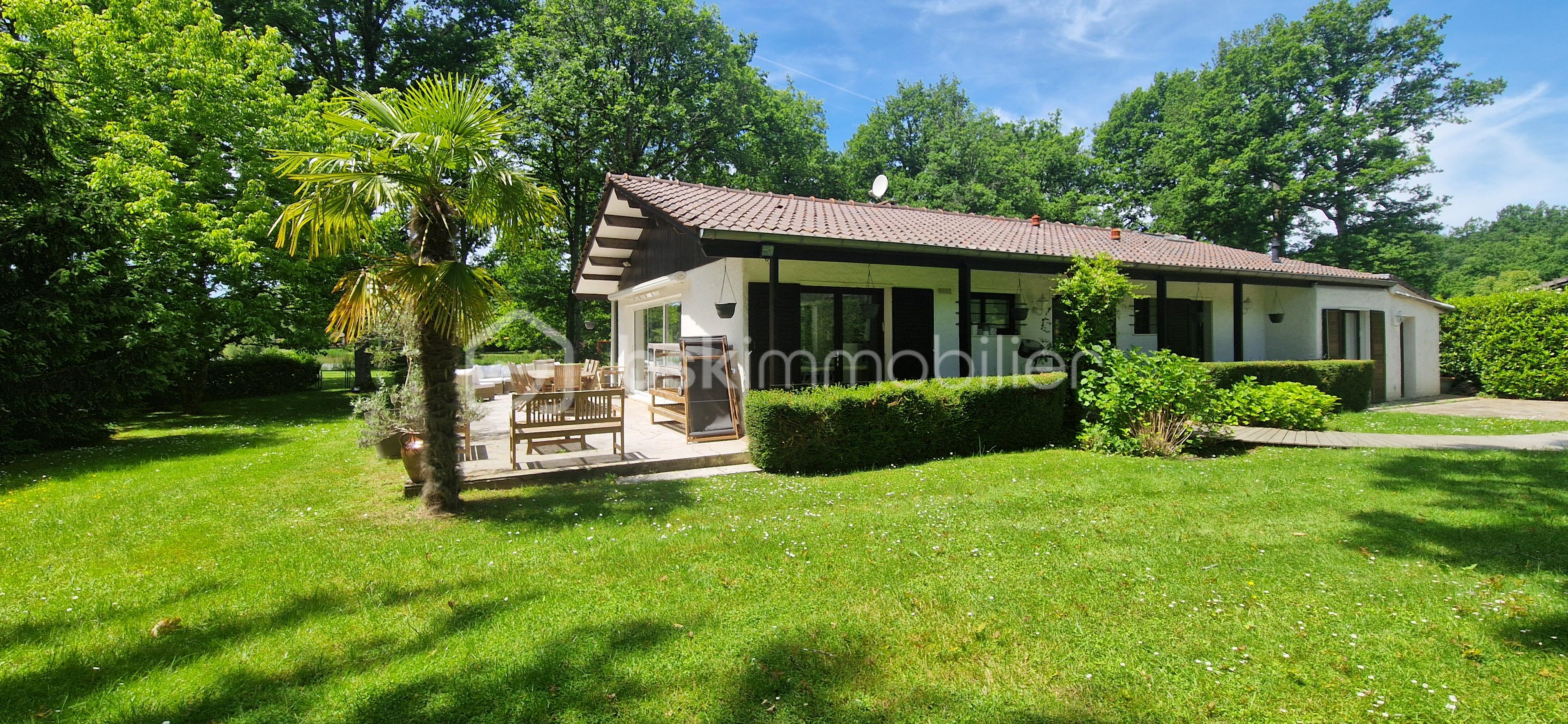 ranch vue palmier.jpg