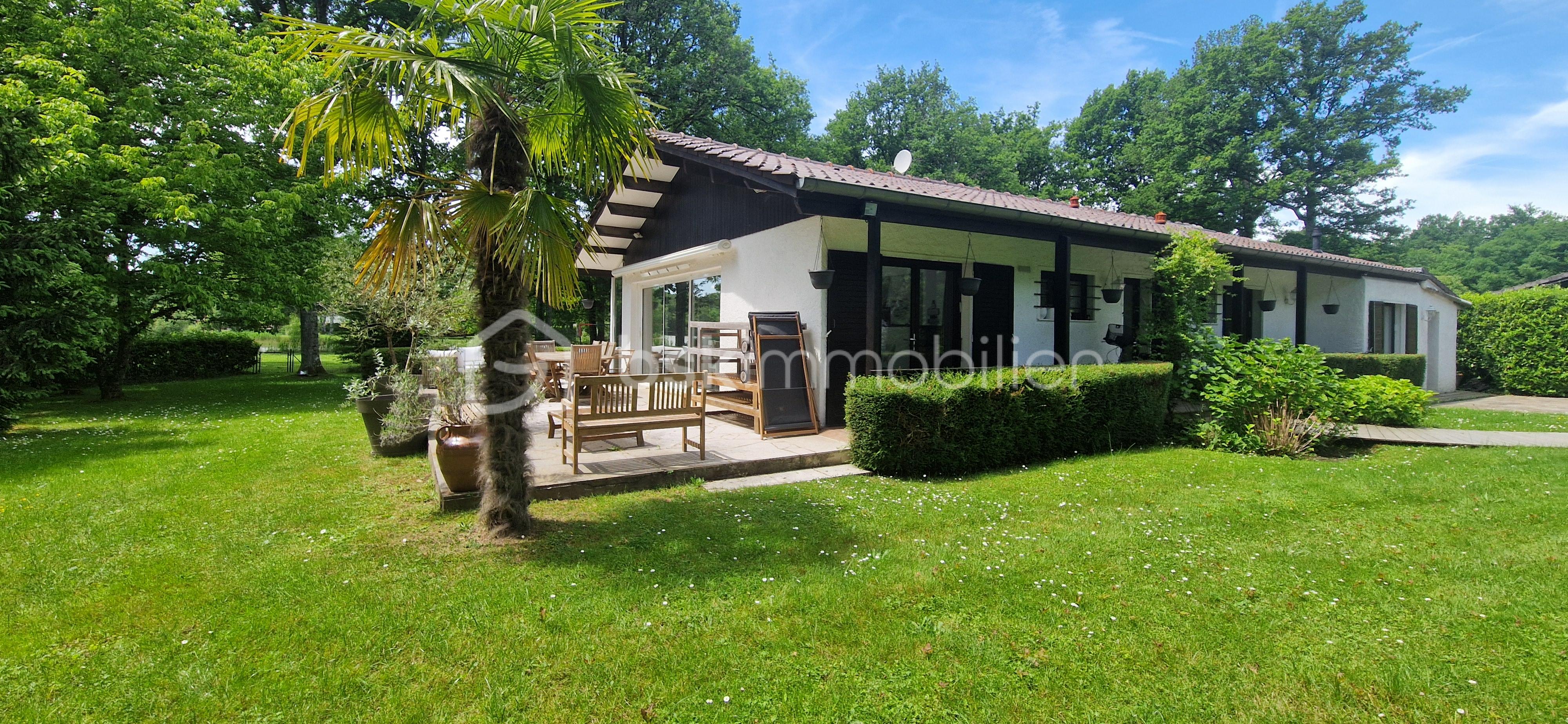 Ranch photo profil.jpg