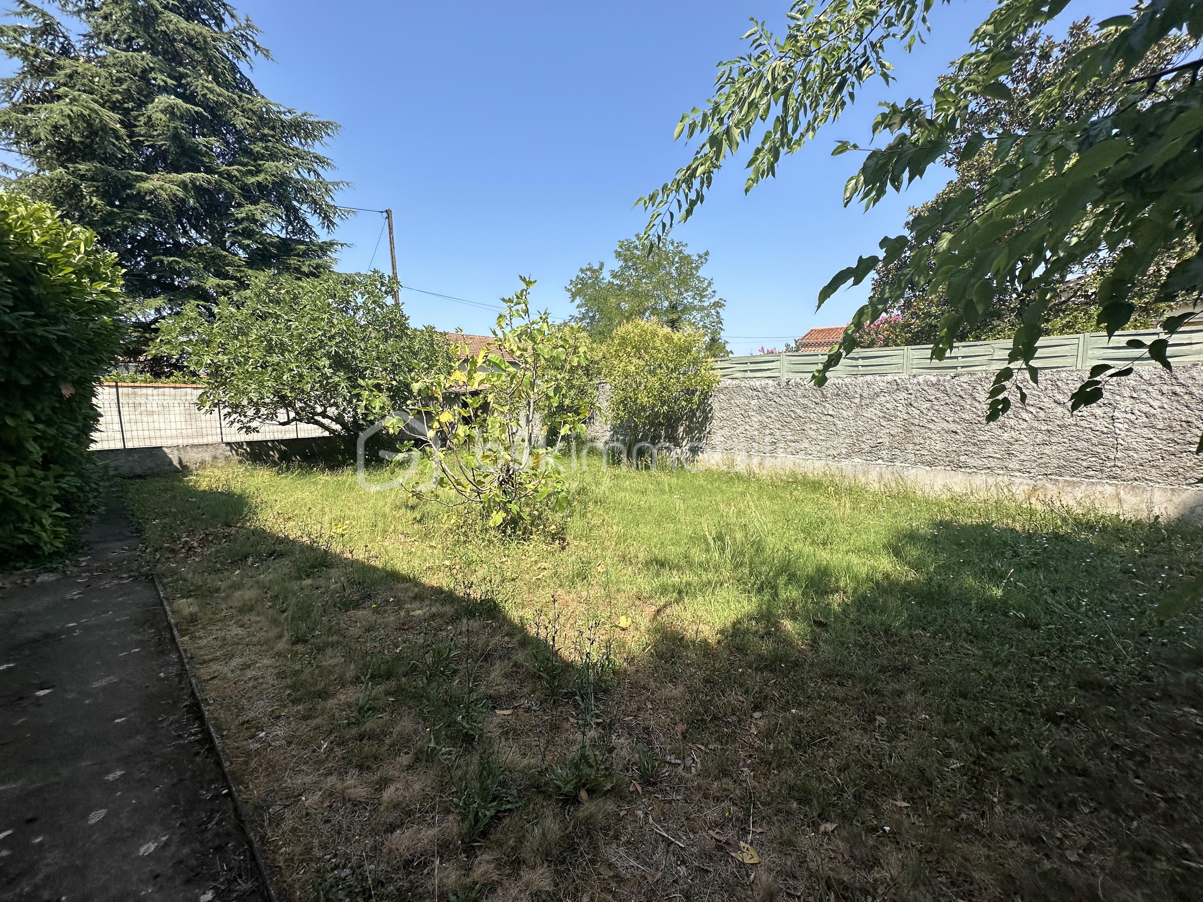 IMG_1645.jpeg