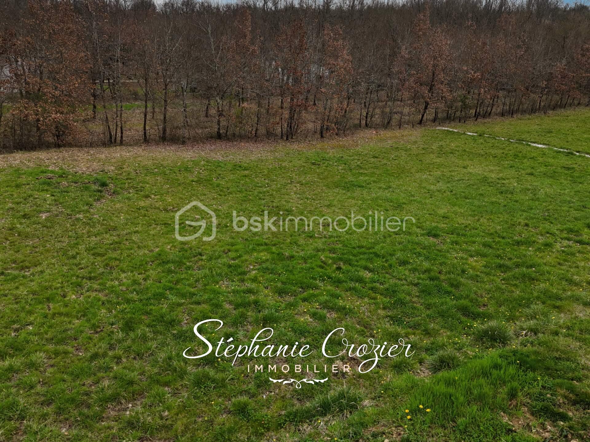 dji_fly_20260303_171726_0145_1776152325928_photo (1).jpg