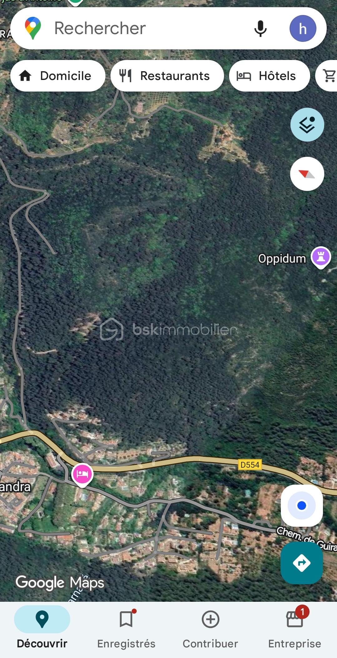 Foret de 74 773 m² - Screenshot_20260120_081820_Maps.jpg