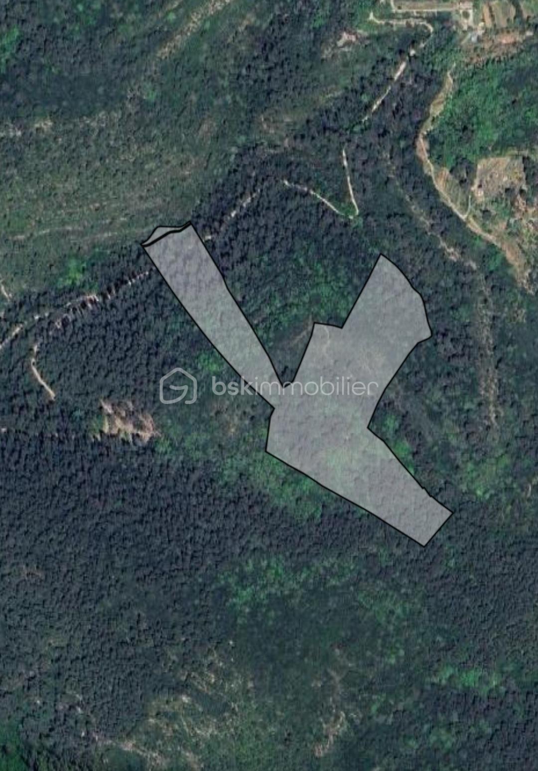 Foret de 74 773 m² - Screenshot_20260120_081358.jpg