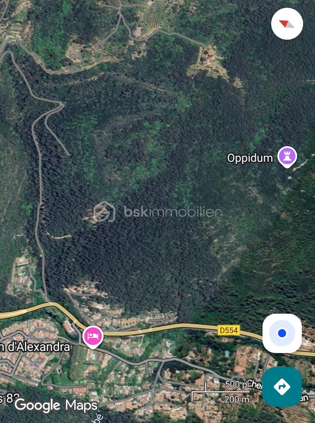 Foret de 74 773 m² - Screenshot_20260120_081901_Maps.jpg