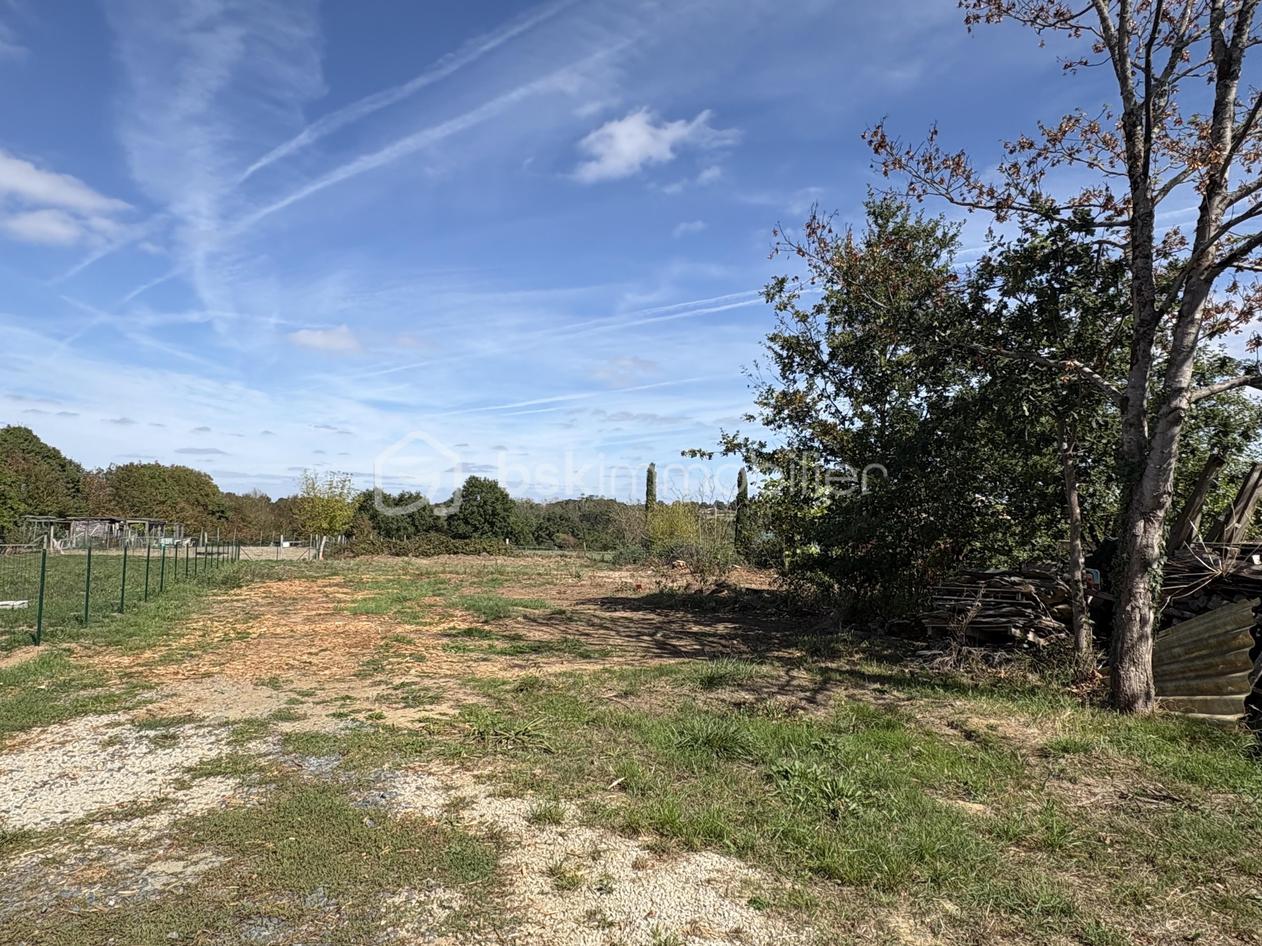 IMG_9244.jpeg