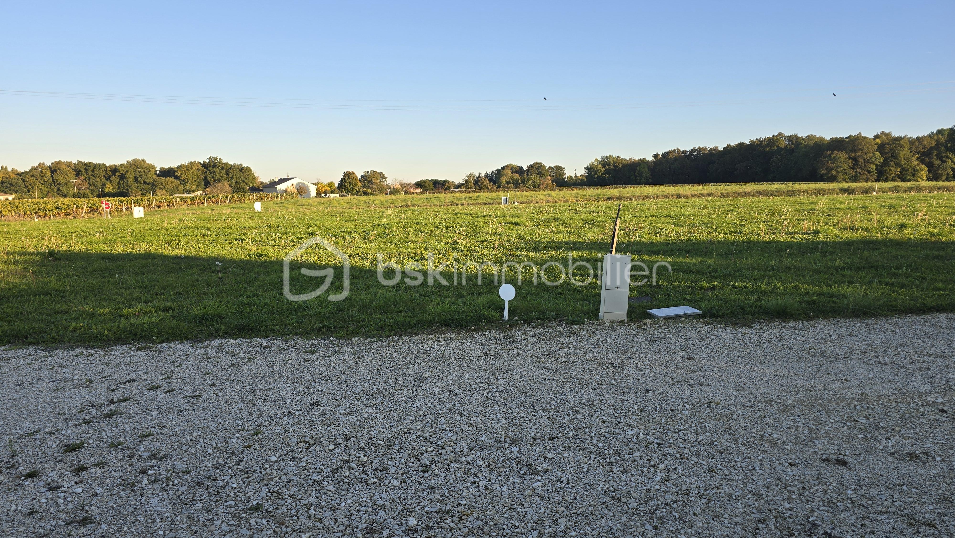 Terrain de 1 554 m² - 20251011_182807.jpg