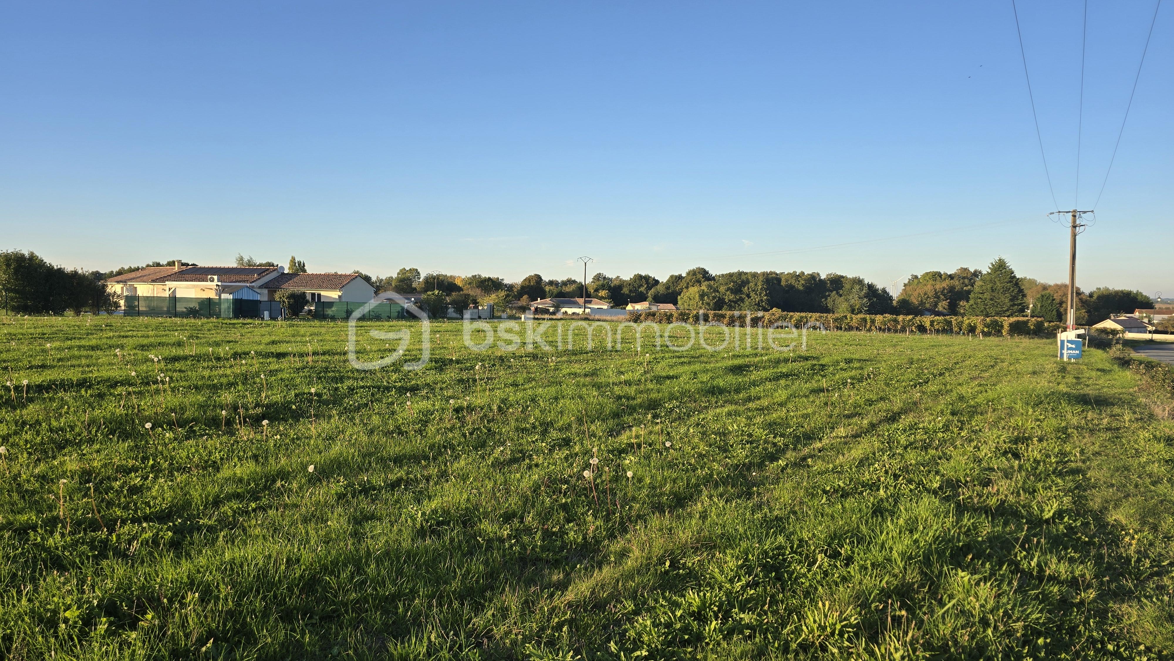 Terrain de 1 554 m² - 20251011_183226.jpg