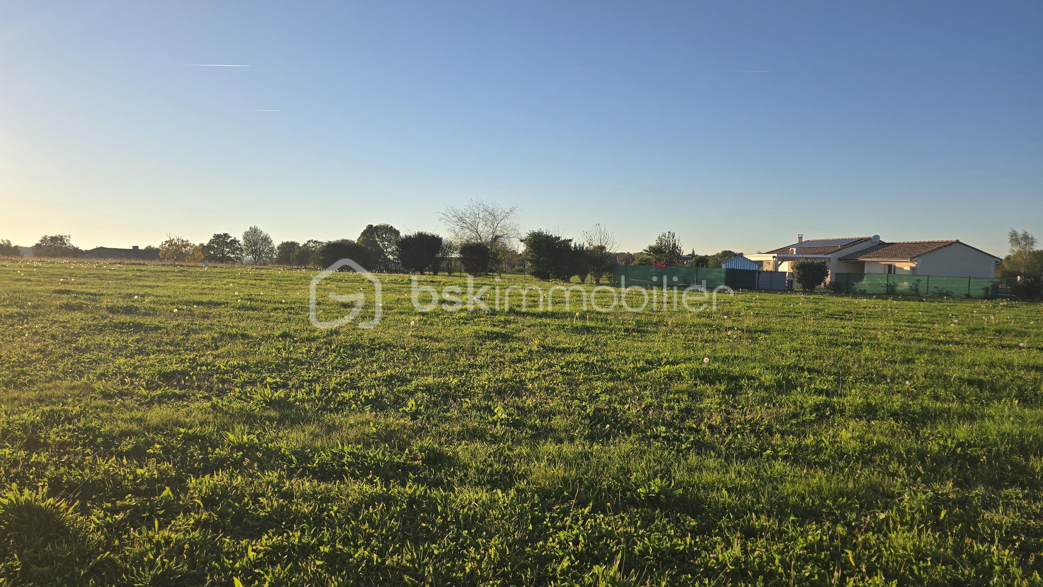 Terrain de 1 554 m² - 20251011_183306.jpg