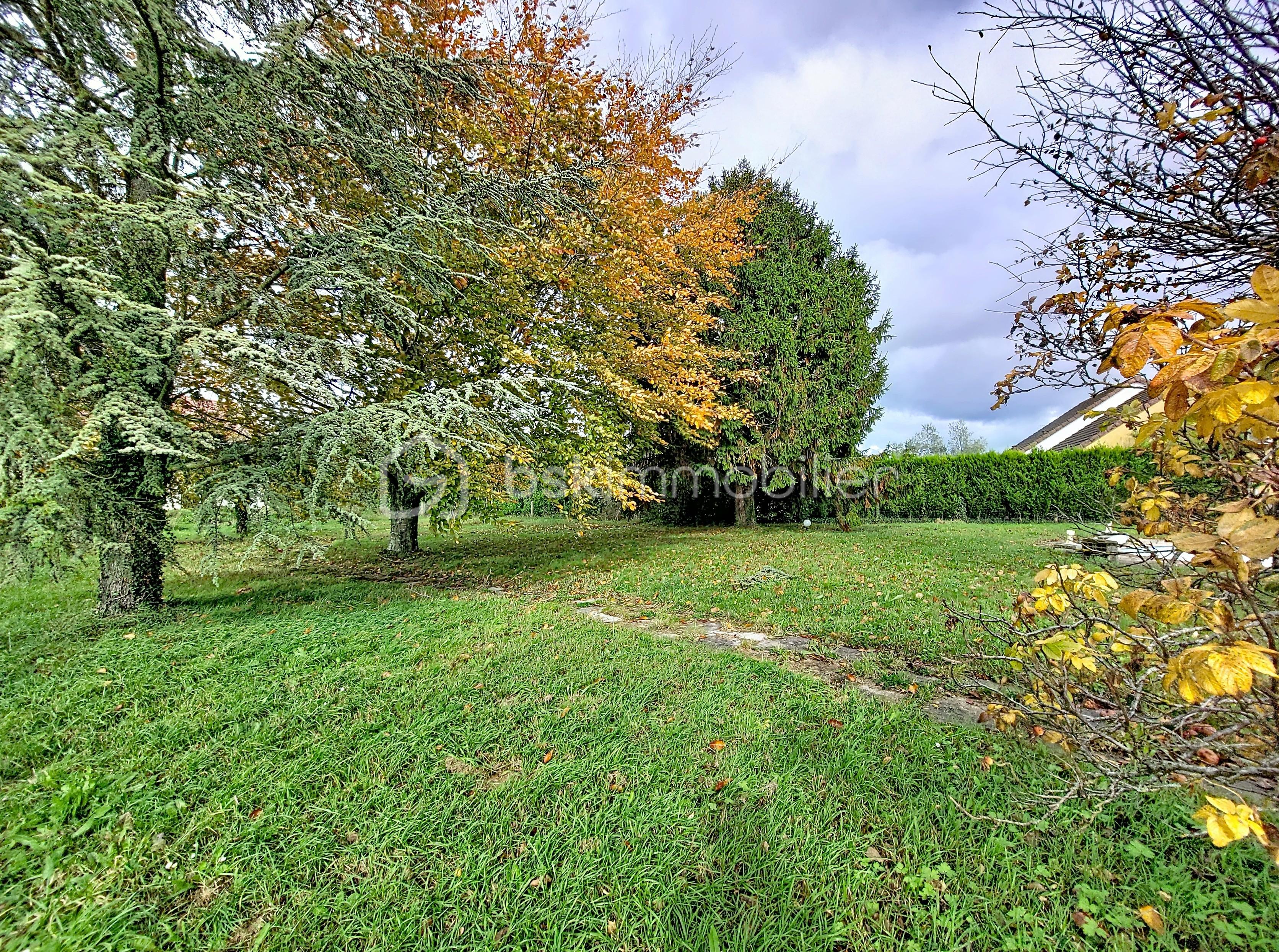 Maison de 119 m² - jardin arrière.jpg