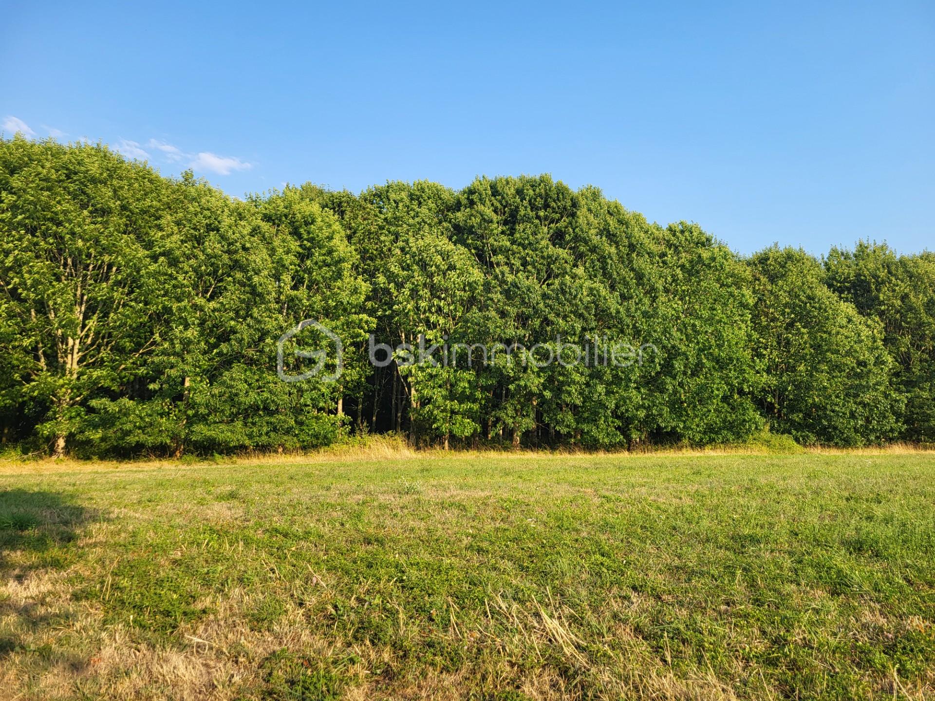 7d1d9f64-78e2-4838-aab0-8ac3c5d344a8.jfif
