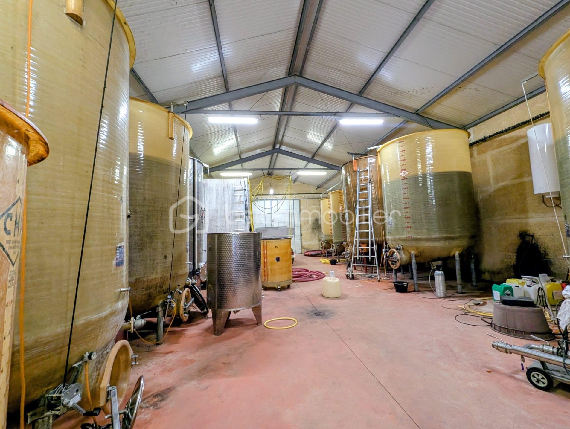Exploitation viticole de 400 m² - WhatsApp Image 2026-01-13 at 17.jpeg