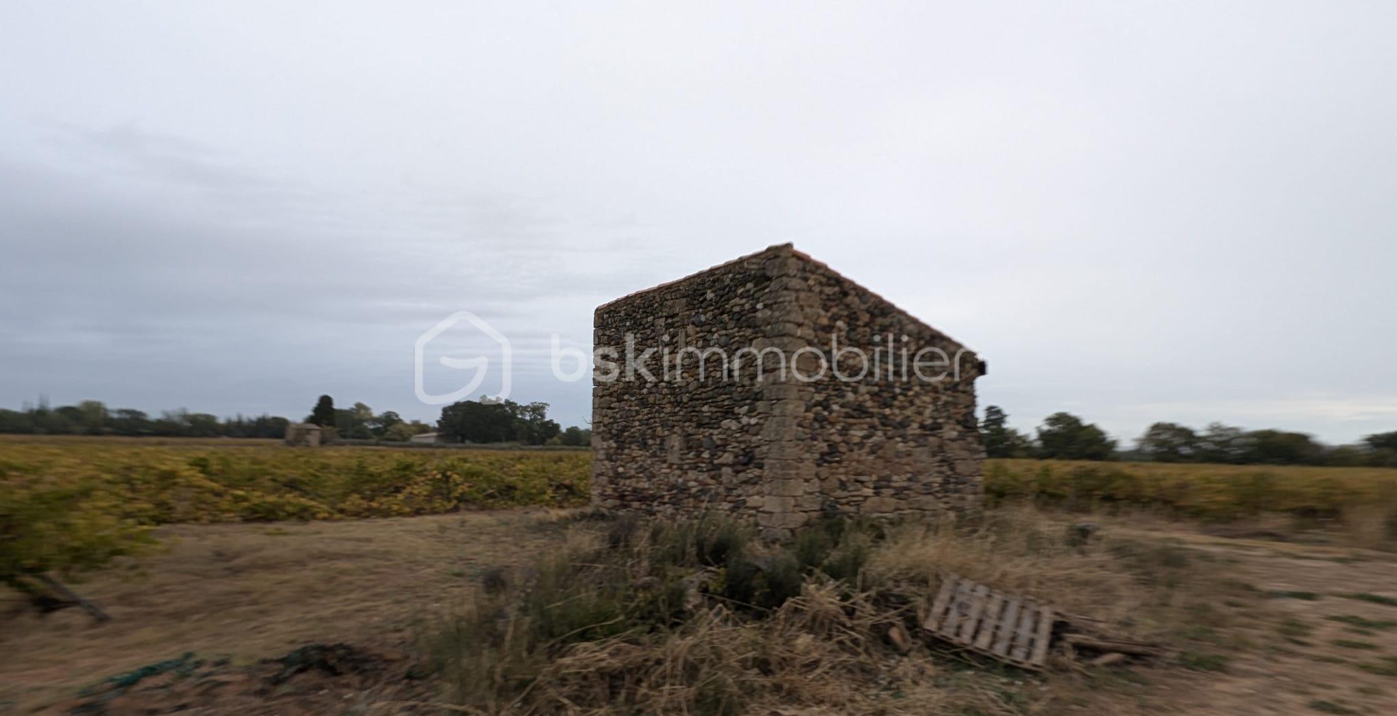 Exploitation viticole de 400 m² - WhatsApp Image 2026-01-13 at 17.41.22.jpeg