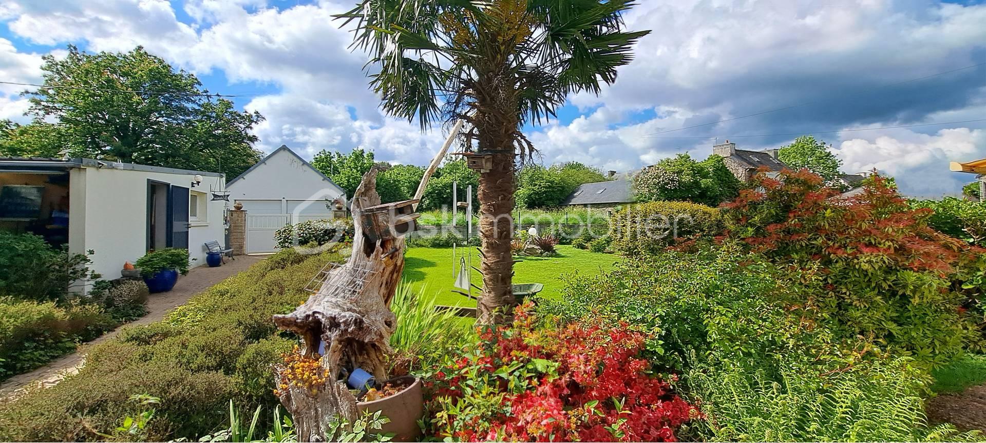 jardin avant.jpg