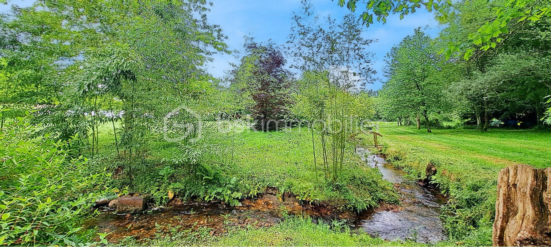 ruisseau 3 bleu.jpg