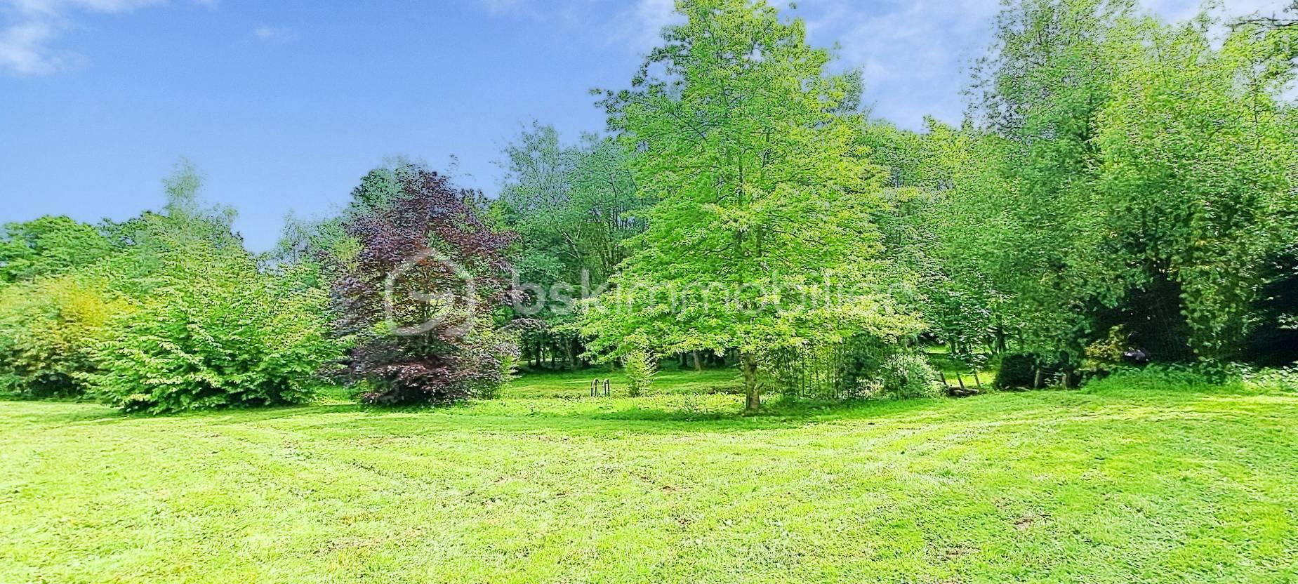 parc bleu.jpg