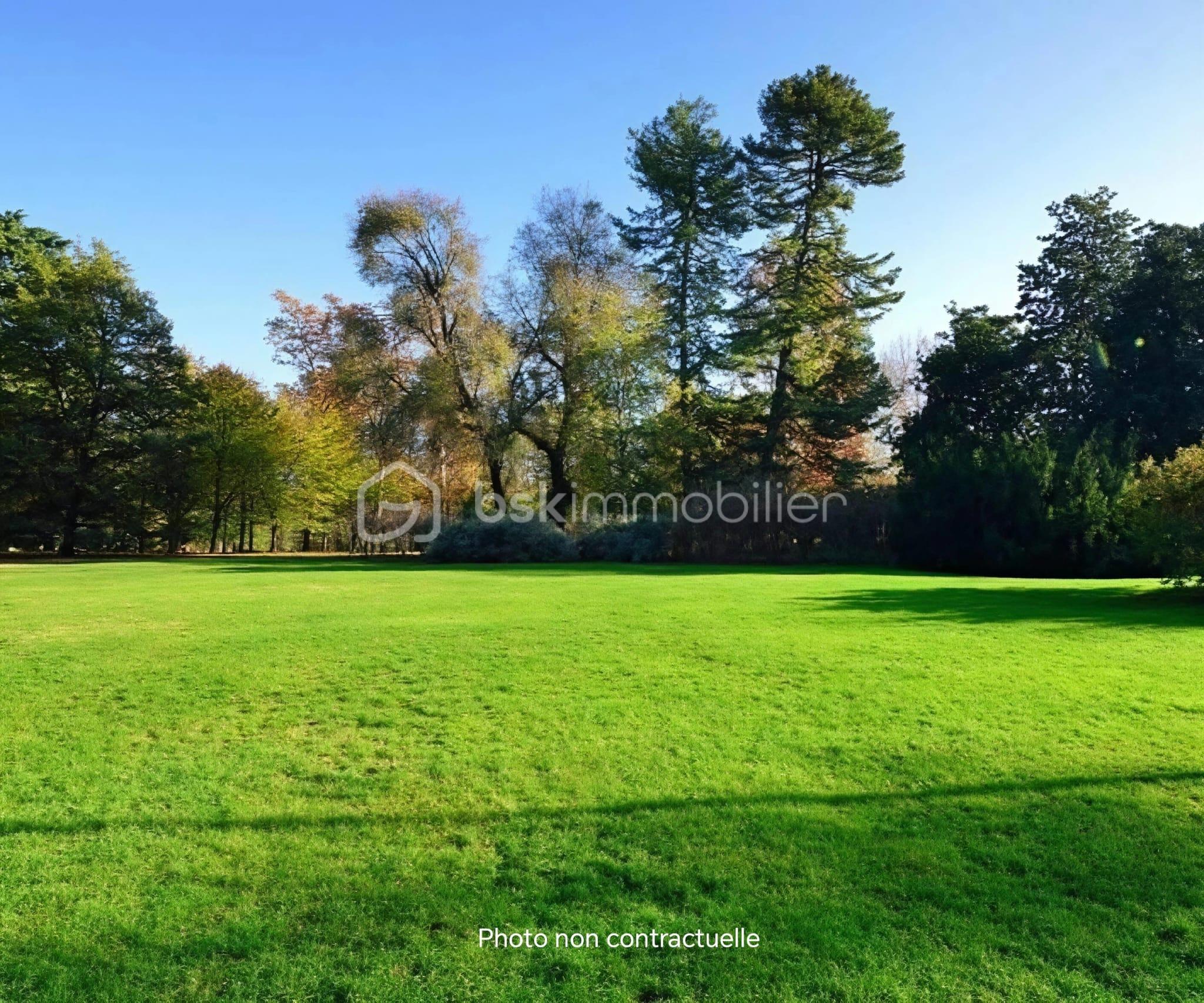 photo terrain non contractuelle.jpg