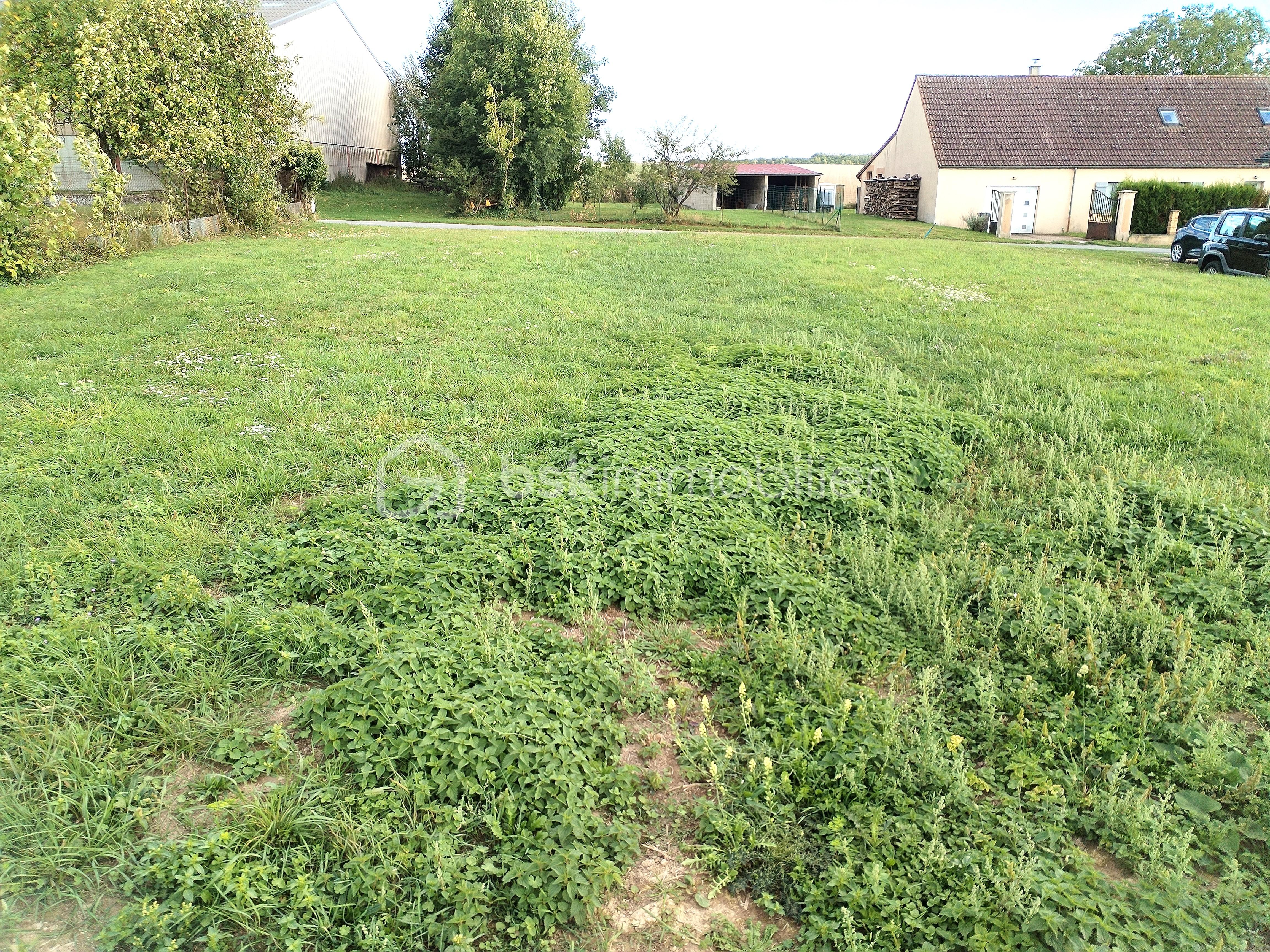 Terrain de 604 m² - IMG_20250915_175916.jpg
