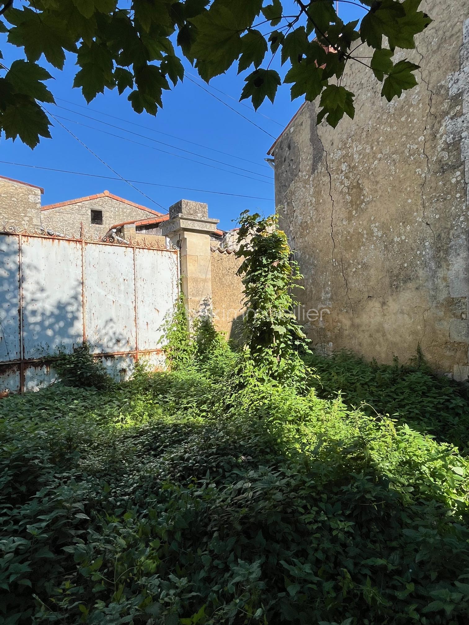 Maison ancienne de 160 m² - IMG_6553.jpg