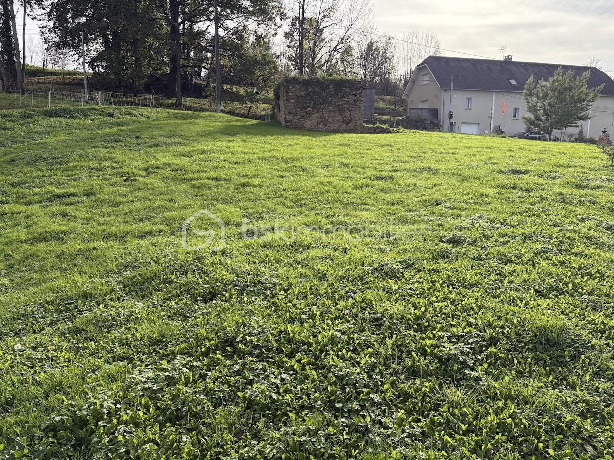Terrain de 1 088 m² - IMG_0625.jpg
