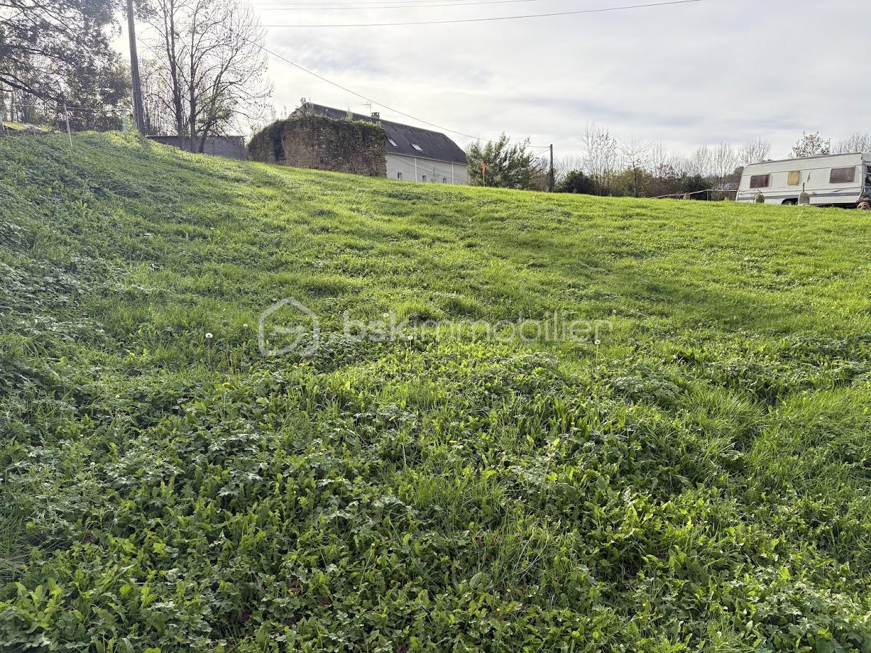 Terrain de 1 088 m² - IMG_0626.jpg