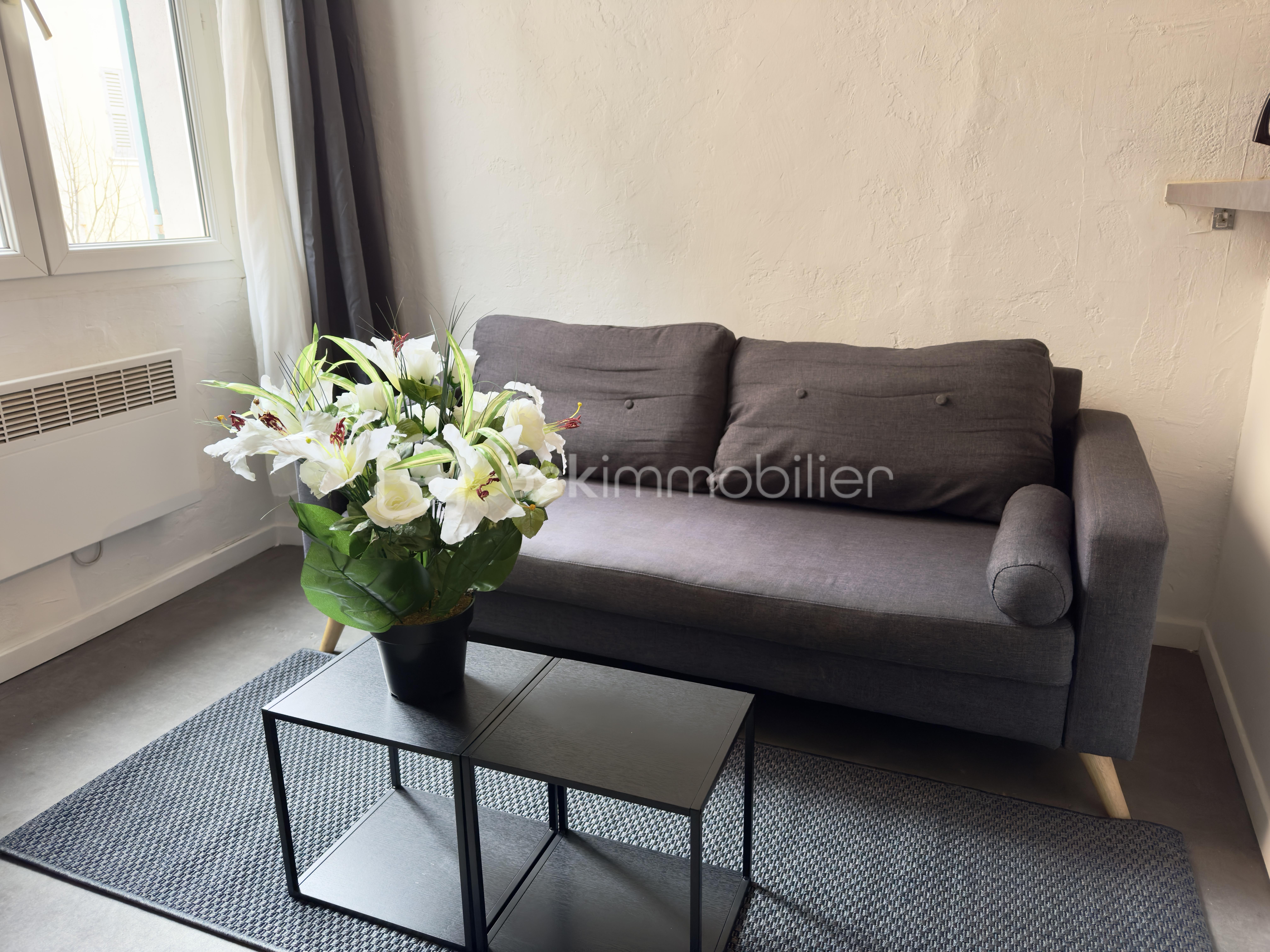 Appartement de 40 m² - IMG_0250 2.jpg